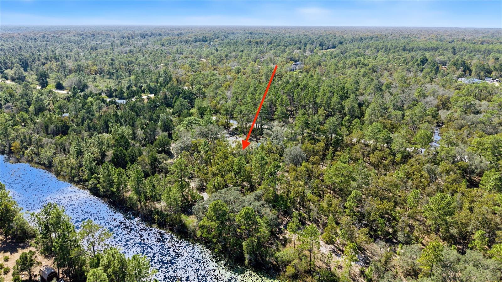 Land at 18182 RAPIDAN RD, WEEKI WACHEE, photo 12 of 29