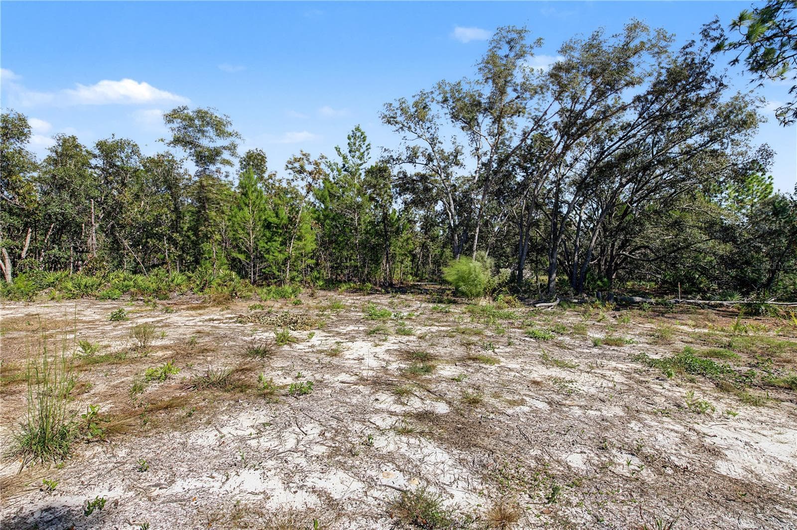 Land at 18182 RAPIDAN RD, WEEKI WACHEE, photo 13 of 29