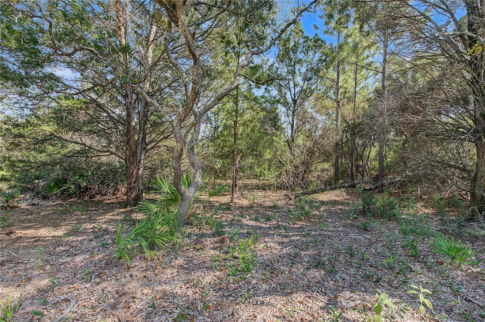 Land at 18182 RAPIDAN RD, WEEKI WACHEE, photo 15 of 29