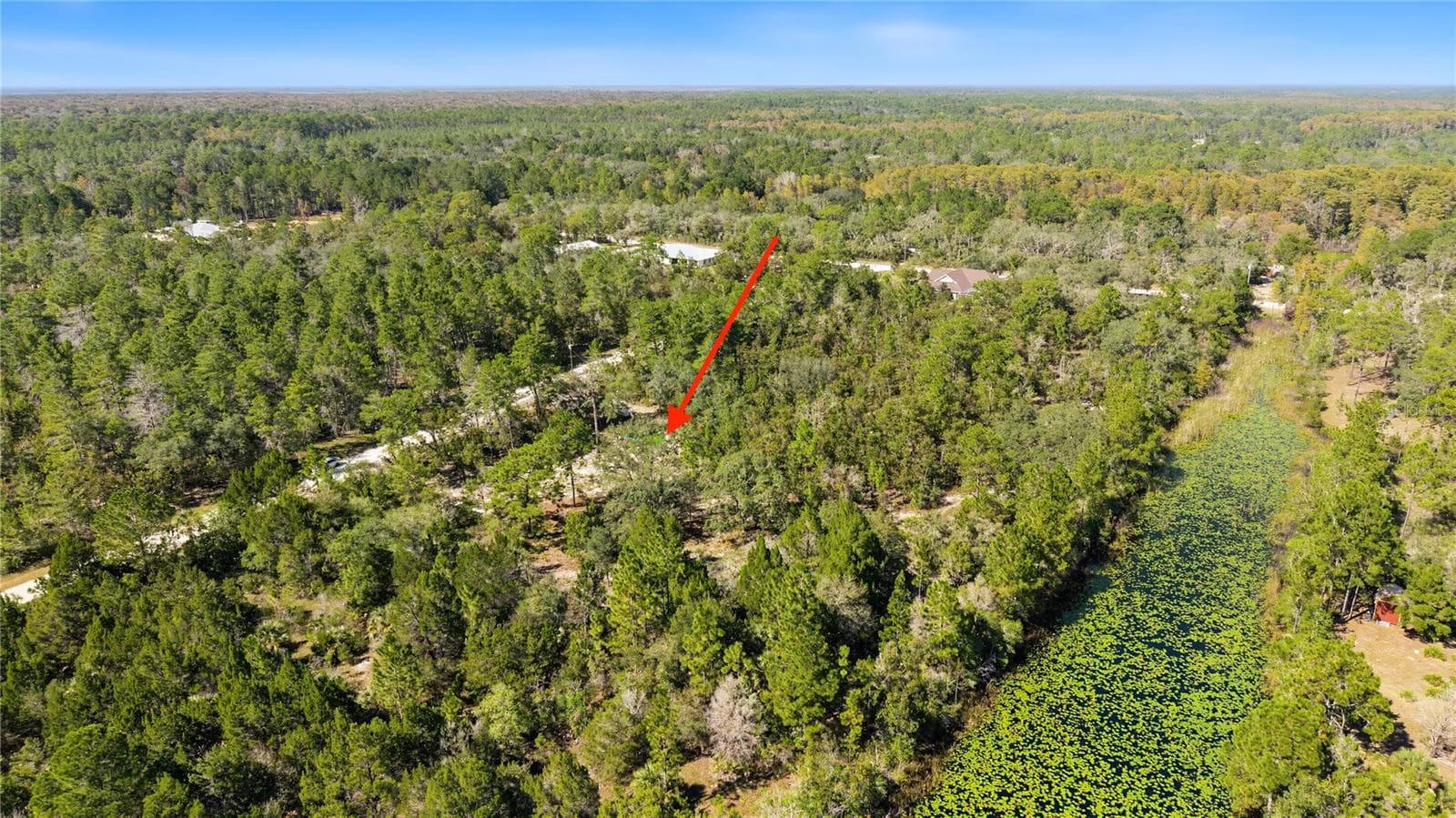 Land at 18182 RAPIDAN RD, WEEKI WACHEE, photo 18 of 29