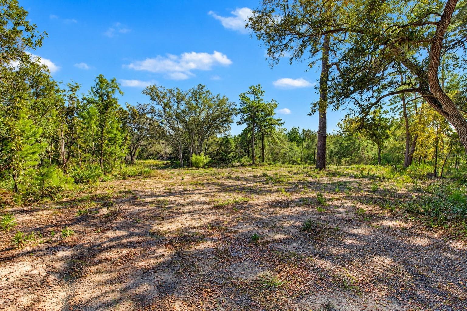 Land at 18182 RAPIDAN RD, WEEKI WACHEE, photo 19 of 29
