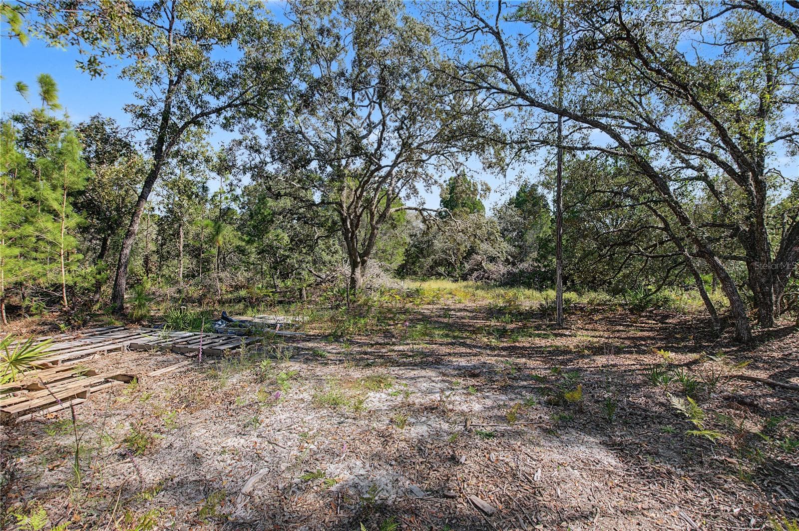 Land at 18182 RAPIDAN RD, WEEKI WACHEE, photo 22 of 29