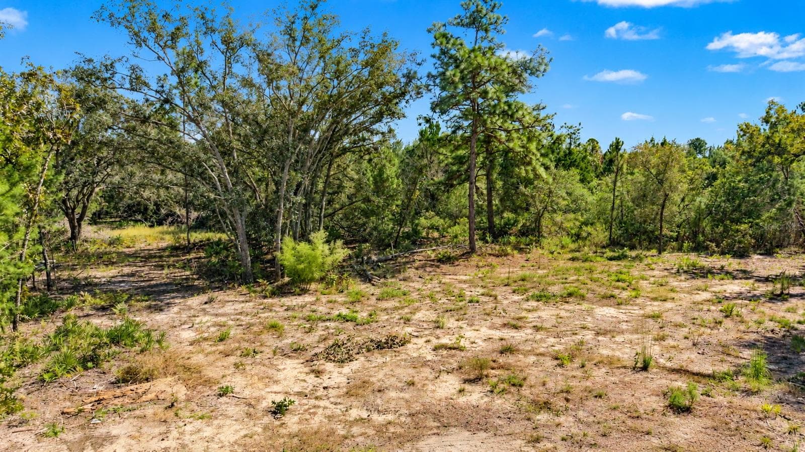Land at 18182 RAPIDAN RD, WEEKI WACHEE, photo 24 of 29