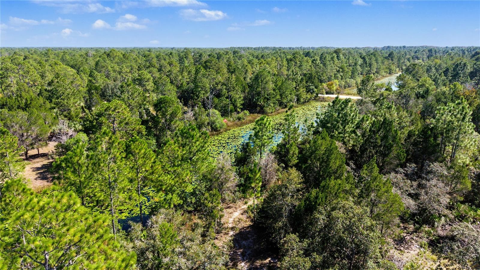 Land at 18182 RAPIDAN RD, WEEKI WACHEE, photo 28 of 29
