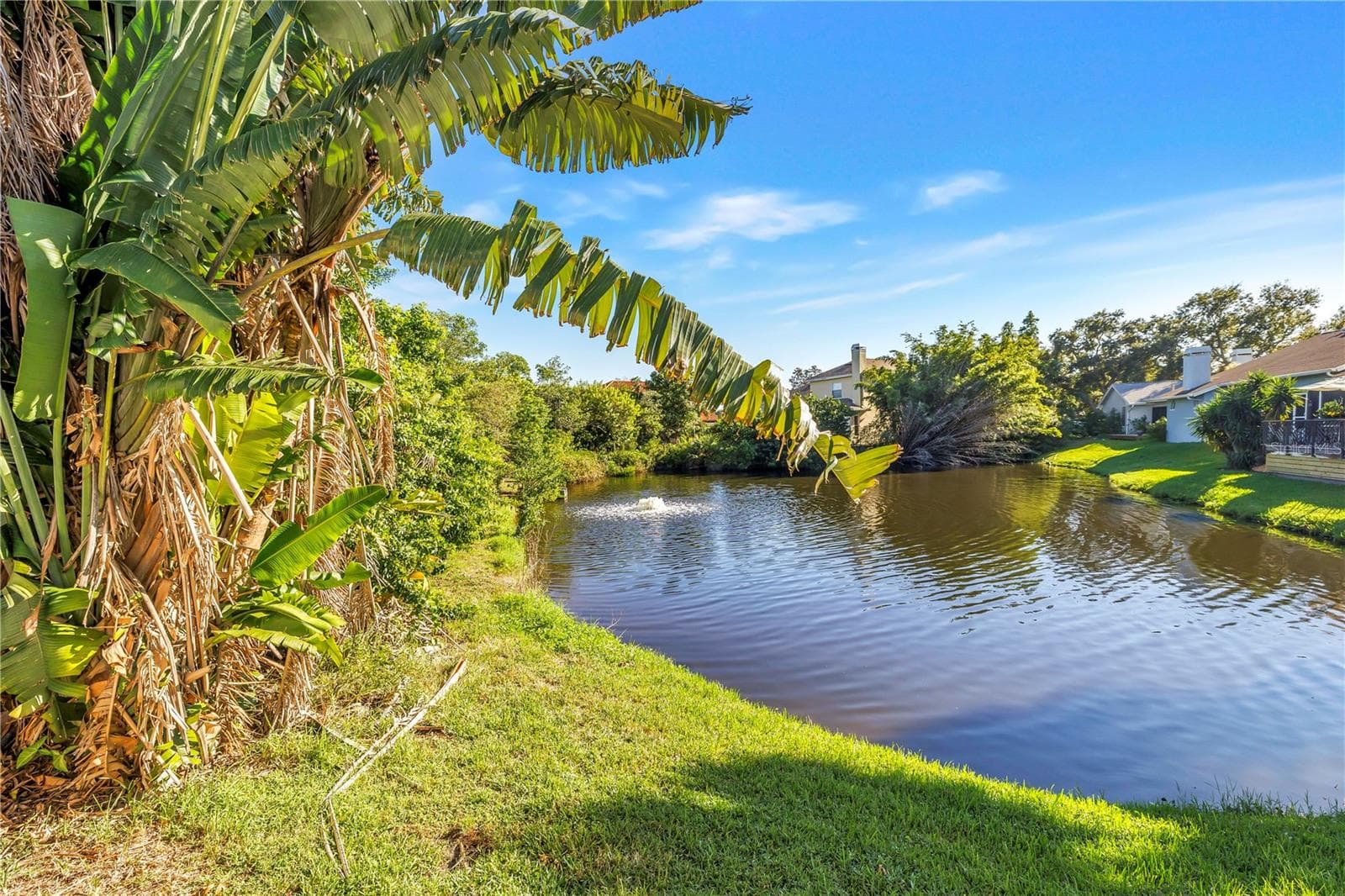 Beautiful neighborhood pond featuring a scenic water fountain. - 1186 GASPARILLA DR NE, ST PETERSBURG