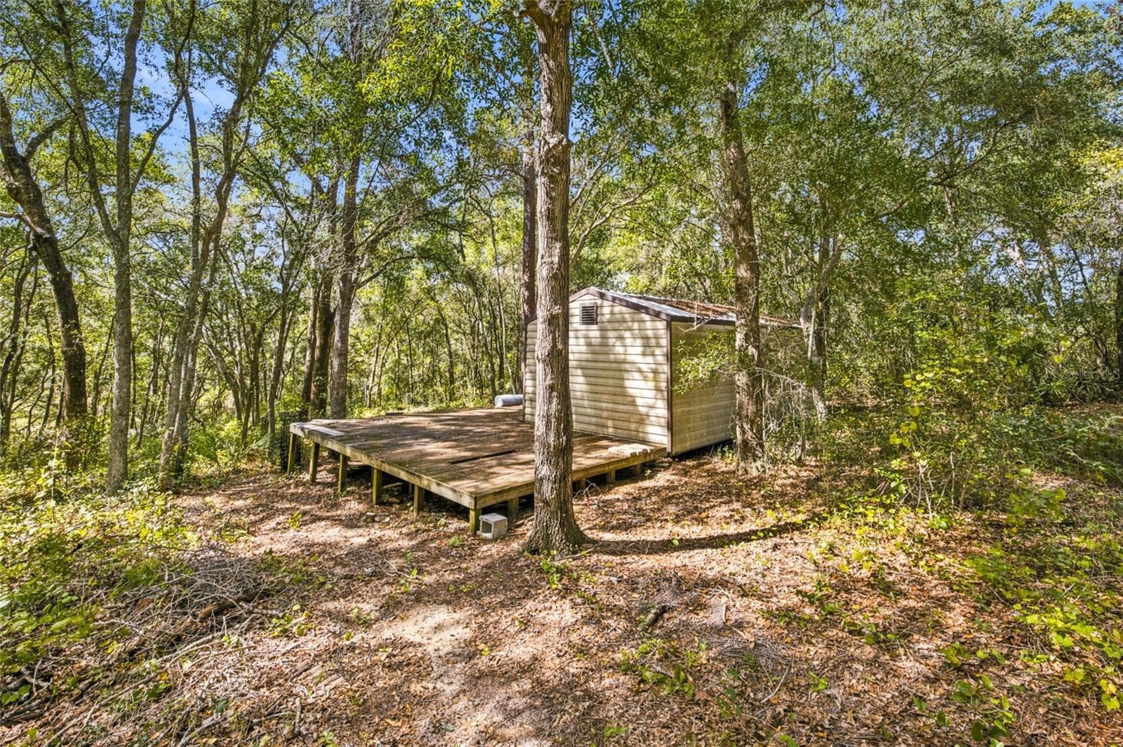 Land at TBD SE 160 COURT RD, OCKLAWAHA, photo 2 of 11