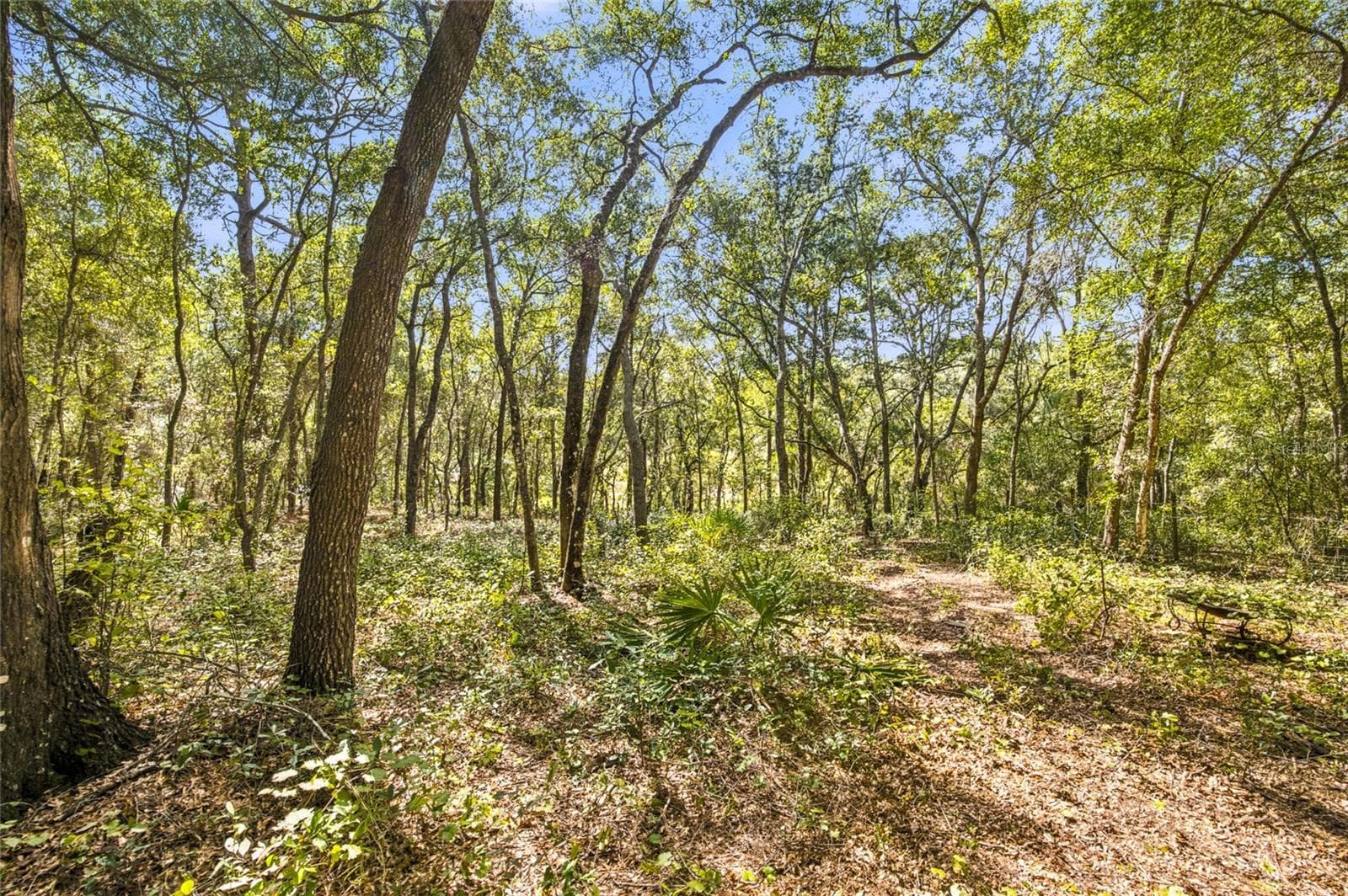 Land at TBD SE 160 COURT RD, OCKLAWAHA, photo 4 of 11
