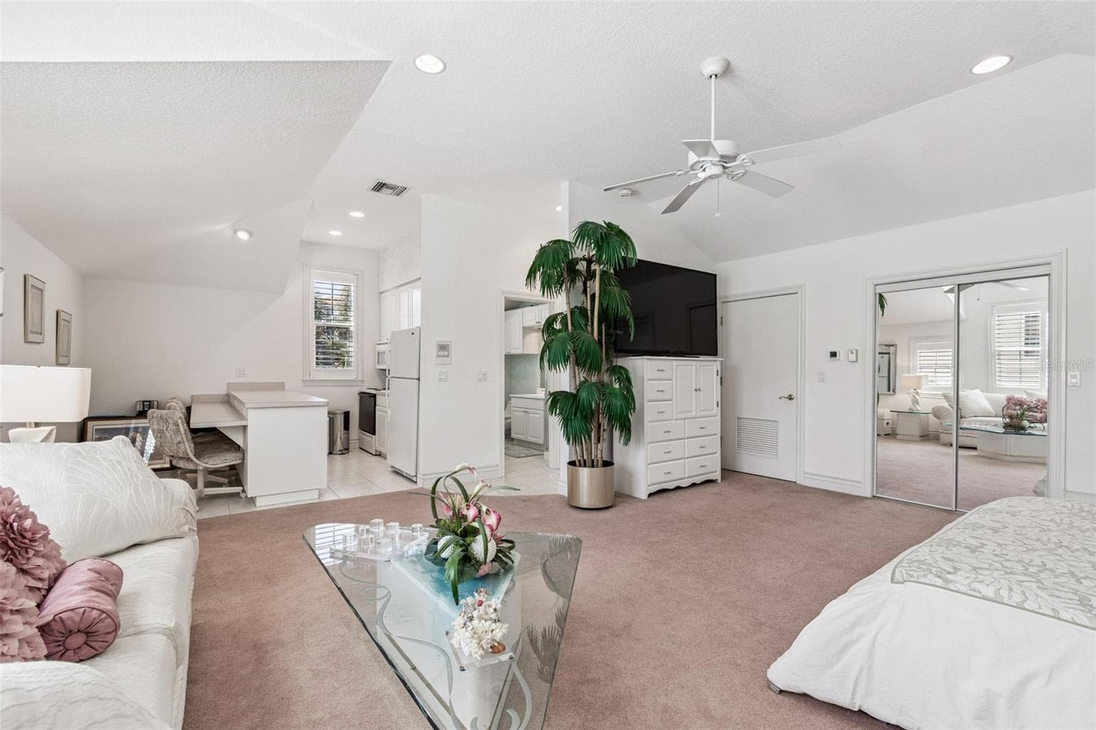 Mother in Law Suite - 4707 SKIMMER WAY S, ST PETERSBURG
