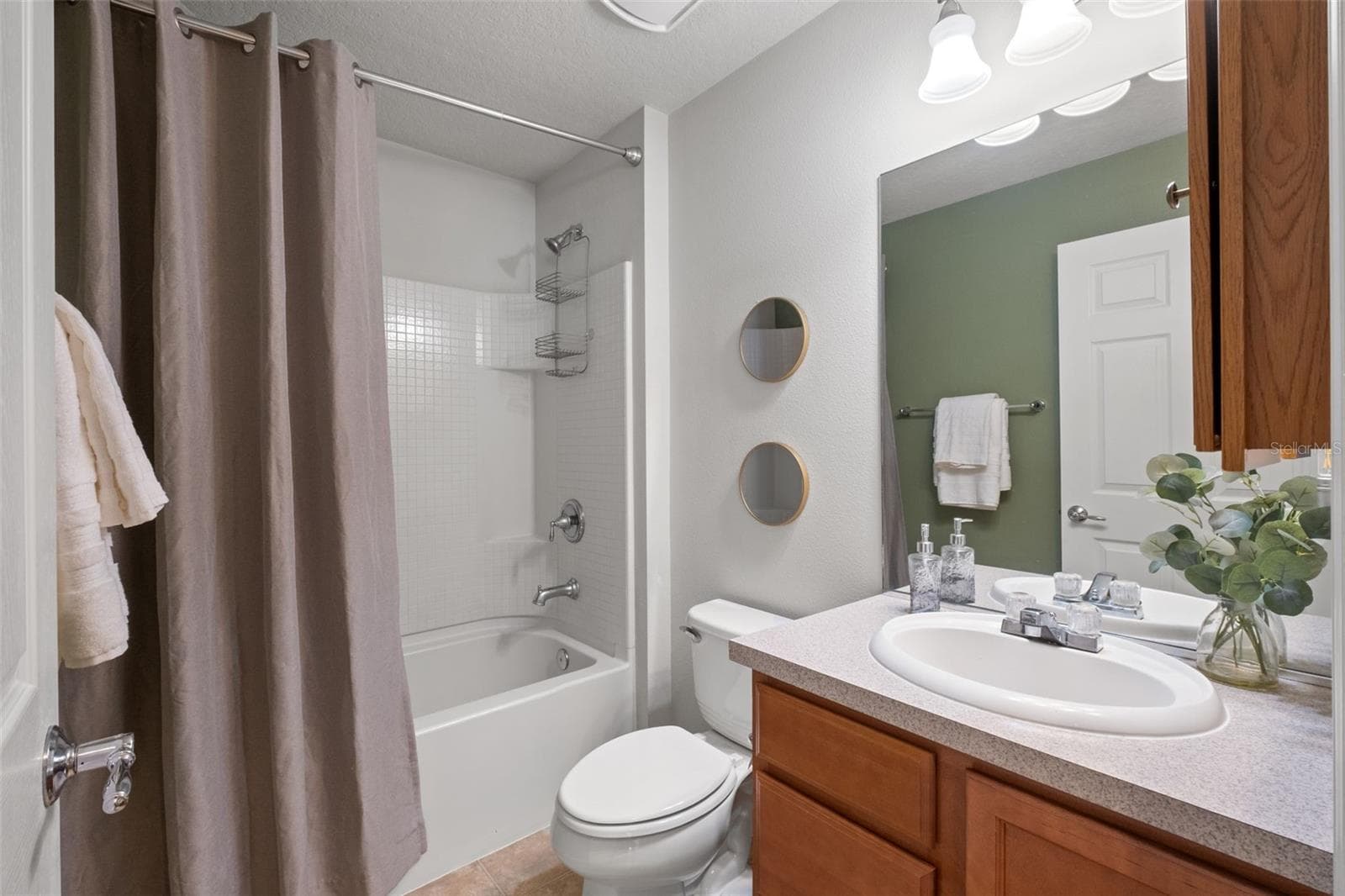 guest bath - 348 ALPINE THISTLE DR, BROOKSVILLE
