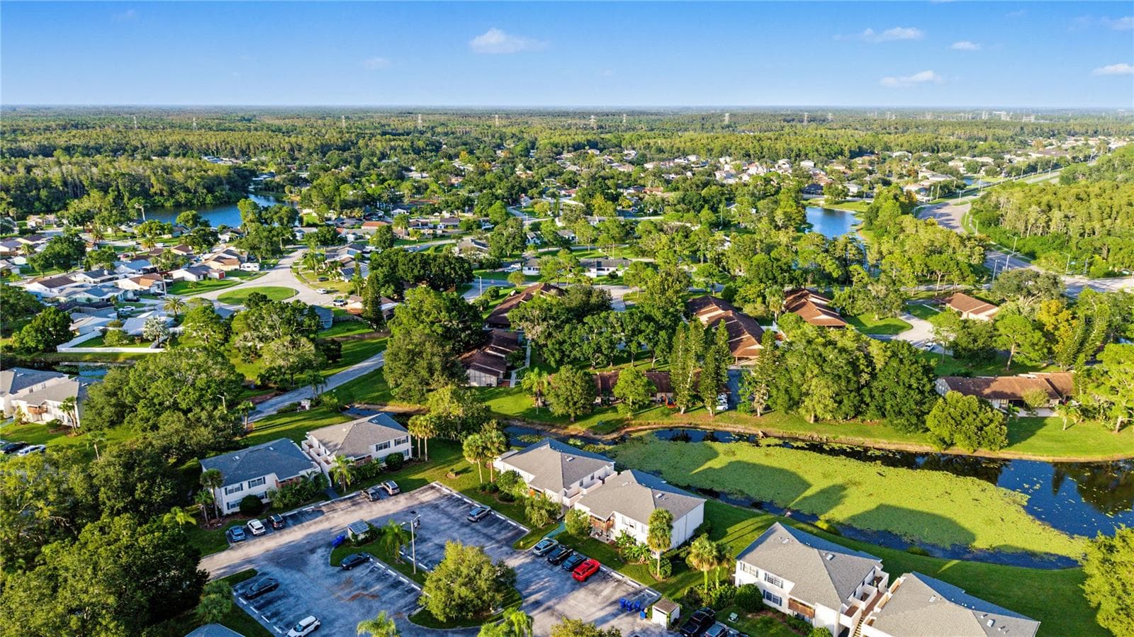 Condominium at 127 CAMPHOR DR #E, OLDSMAR, photo 41 of 45