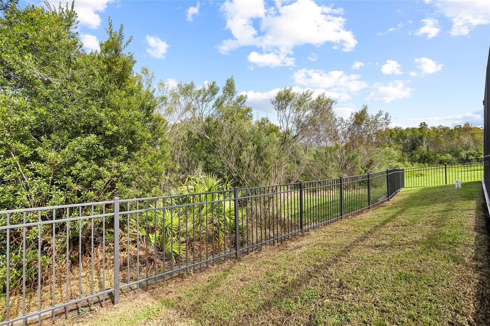 Single Family Residence at 30351 TRISTANIA CT, WESLEY CHAPEL, photo 134 of 166