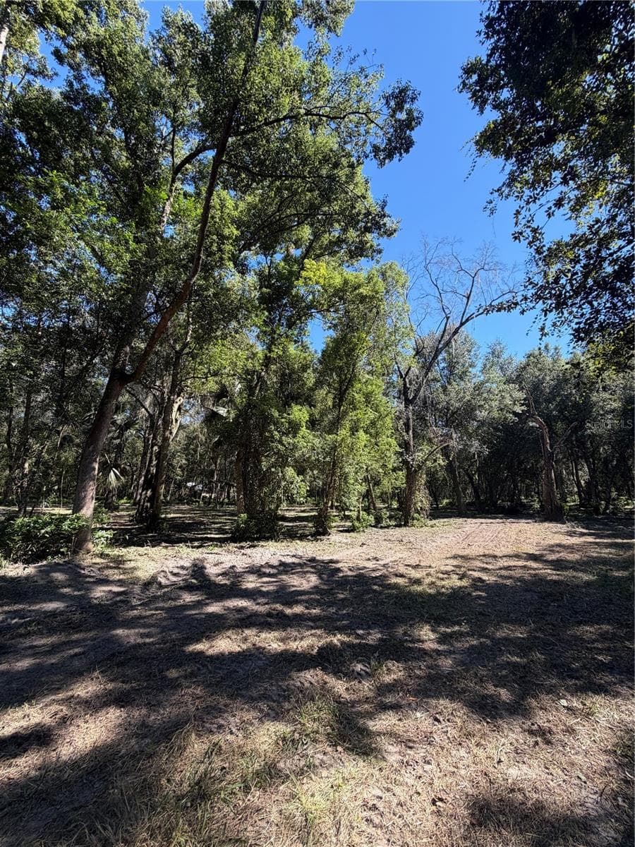 Land at W OHIO AVE, LAKE HELEN, photo 4 of 4