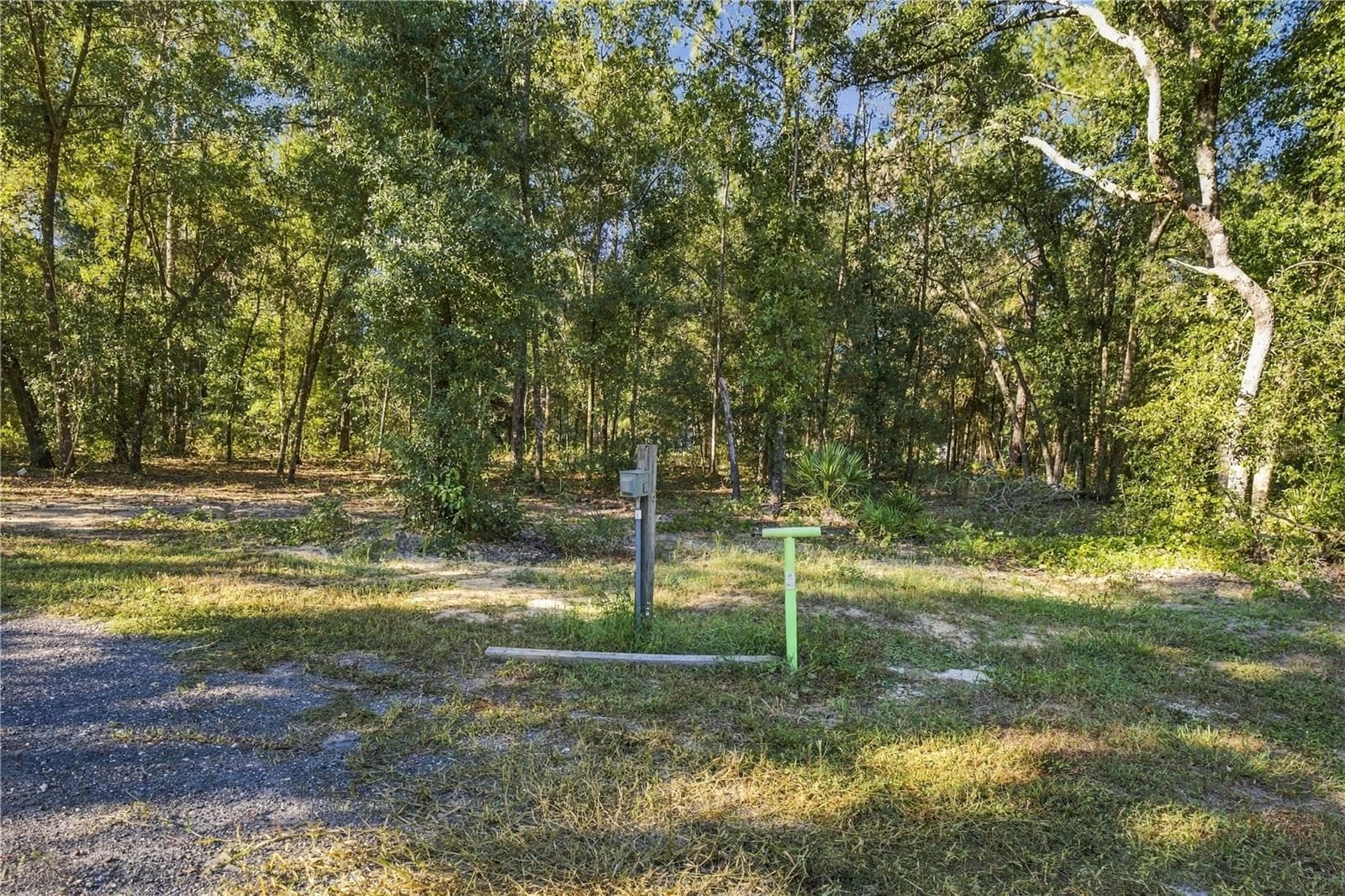 RV HOOKUP - 9921 SE 160TH AVE, OCKLAWAHA