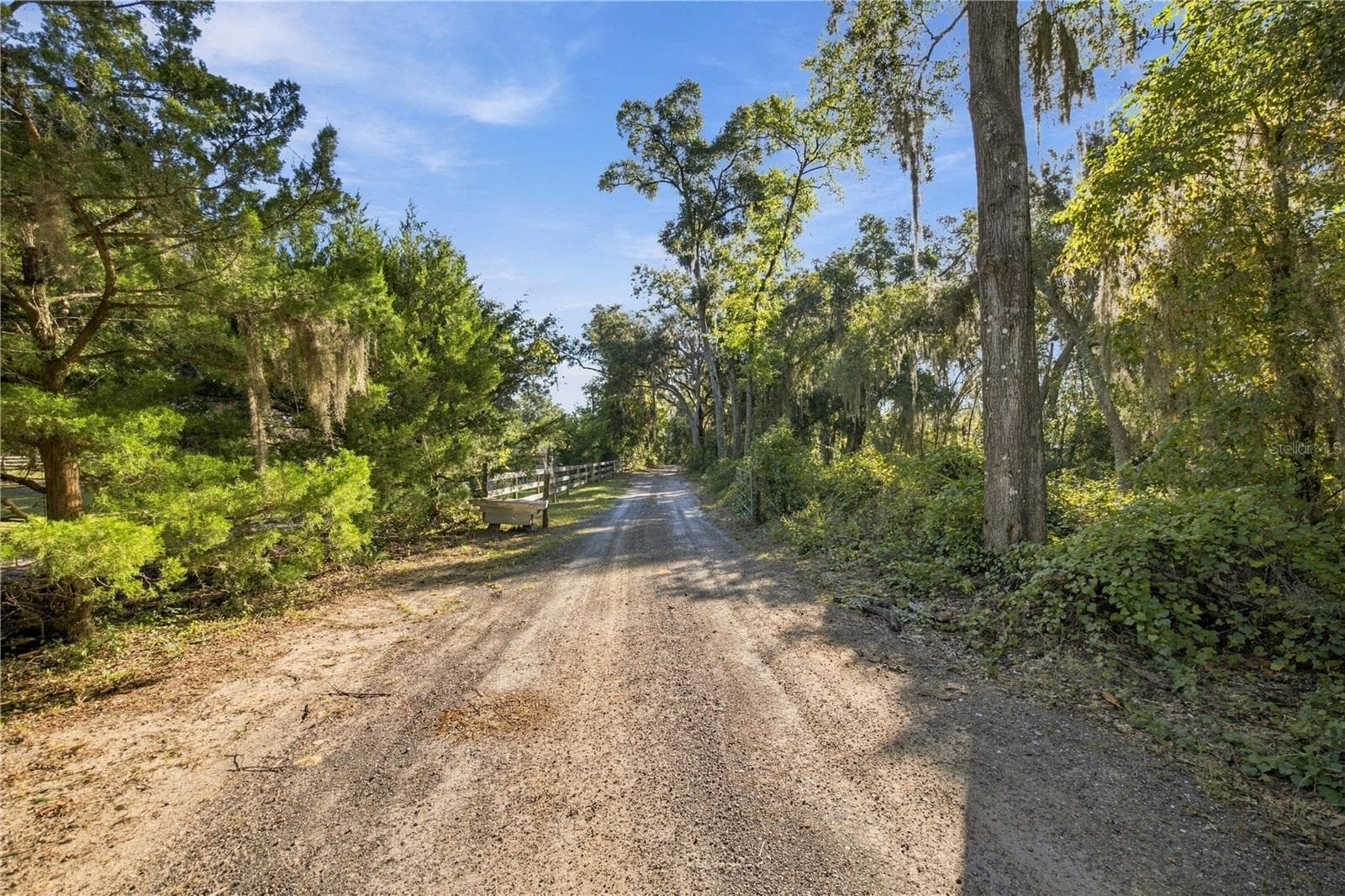 DRIVEWAY - 9921 SE 160TH AVE, OCKLAWAHA