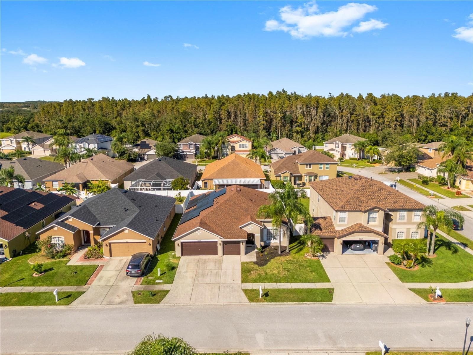 Single Family Residence at 10416 MEADOW SPRING DR, TAMPA, photo 58 of 61
