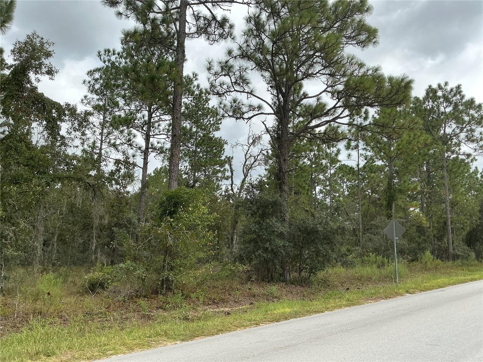 Land at SW 85TH PL, OCALA, photo 3 of 4