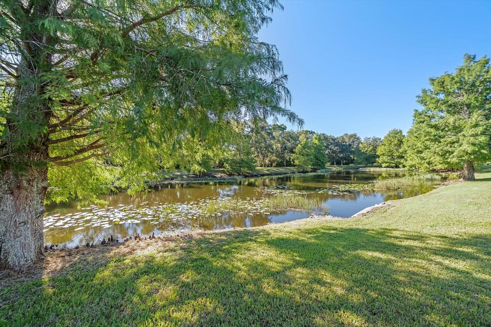 Single Family Residence at 7050 OWLS NEST TER, BRADENTON, photo 41 of 54
