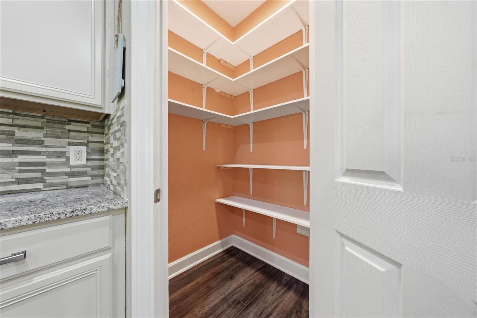 Pantry - 30145 LOSINO CV, MOUNT DORA