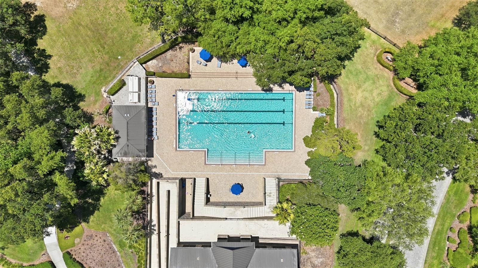 Pool 1 - 30145 LOSINO CV, MOUNT DORA