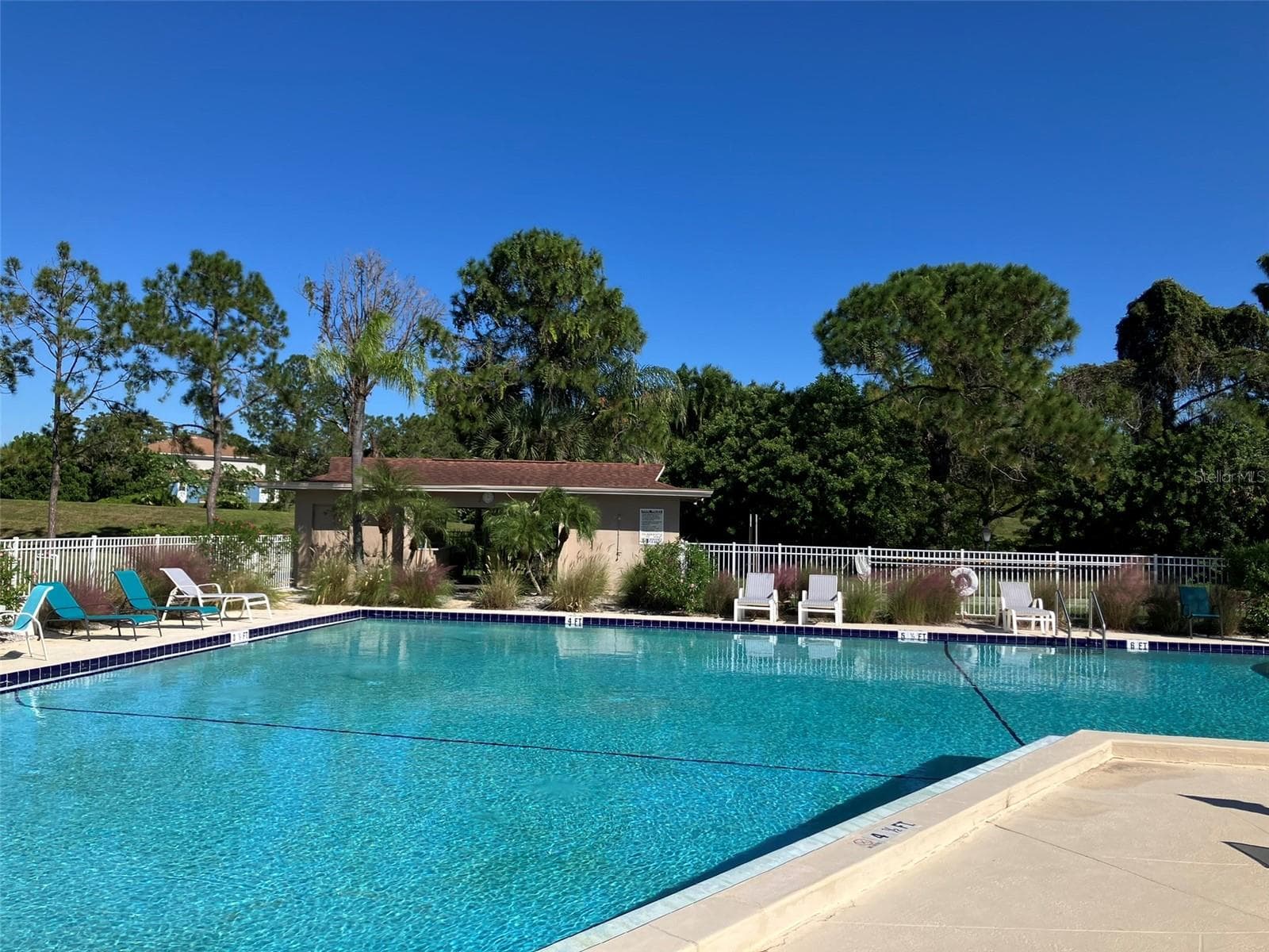 Community Pool - 2460 LAURELWOOD DR #E, CLEARWATER