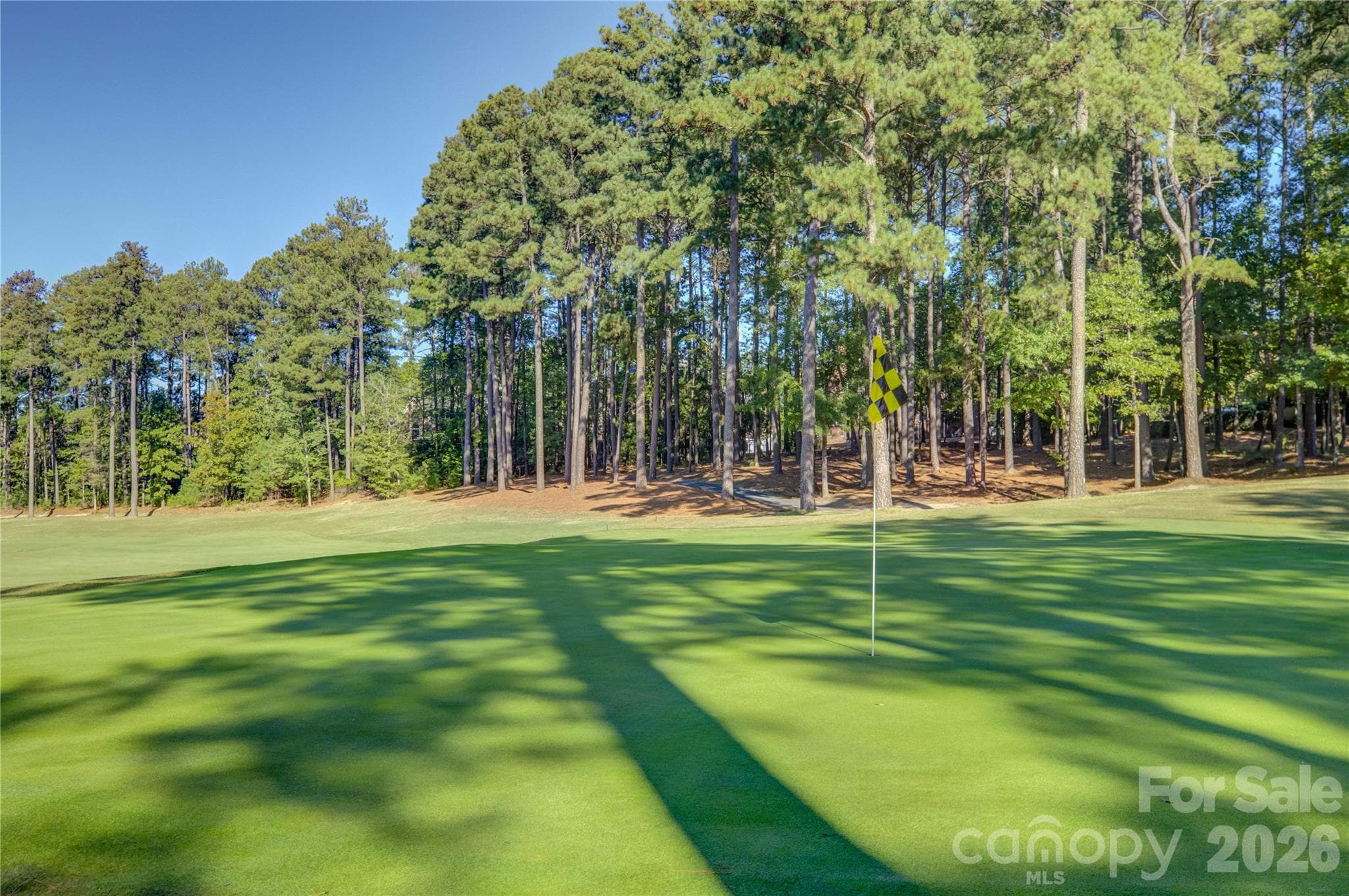 Single Family Residence at 17733 Colleton River Lane, Charlotte, photo 46 of 48