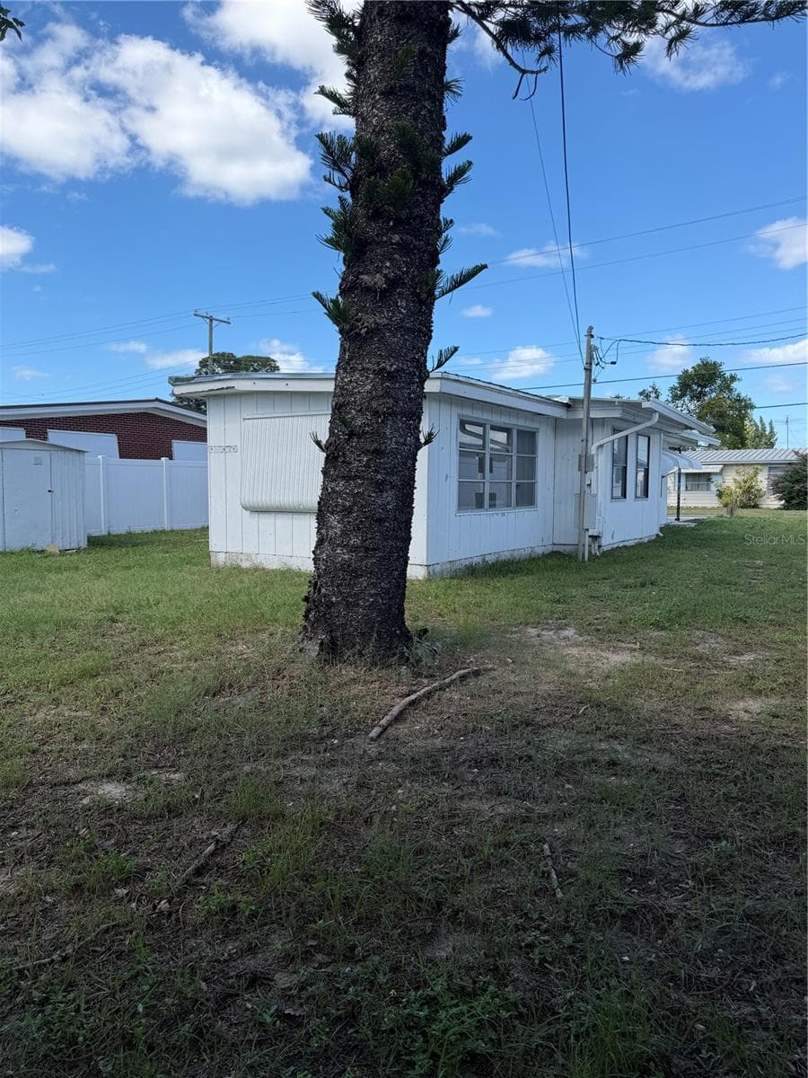 View of the backyard and large tree. - 4120 BUENA VISTA LN, HOLIDAY
