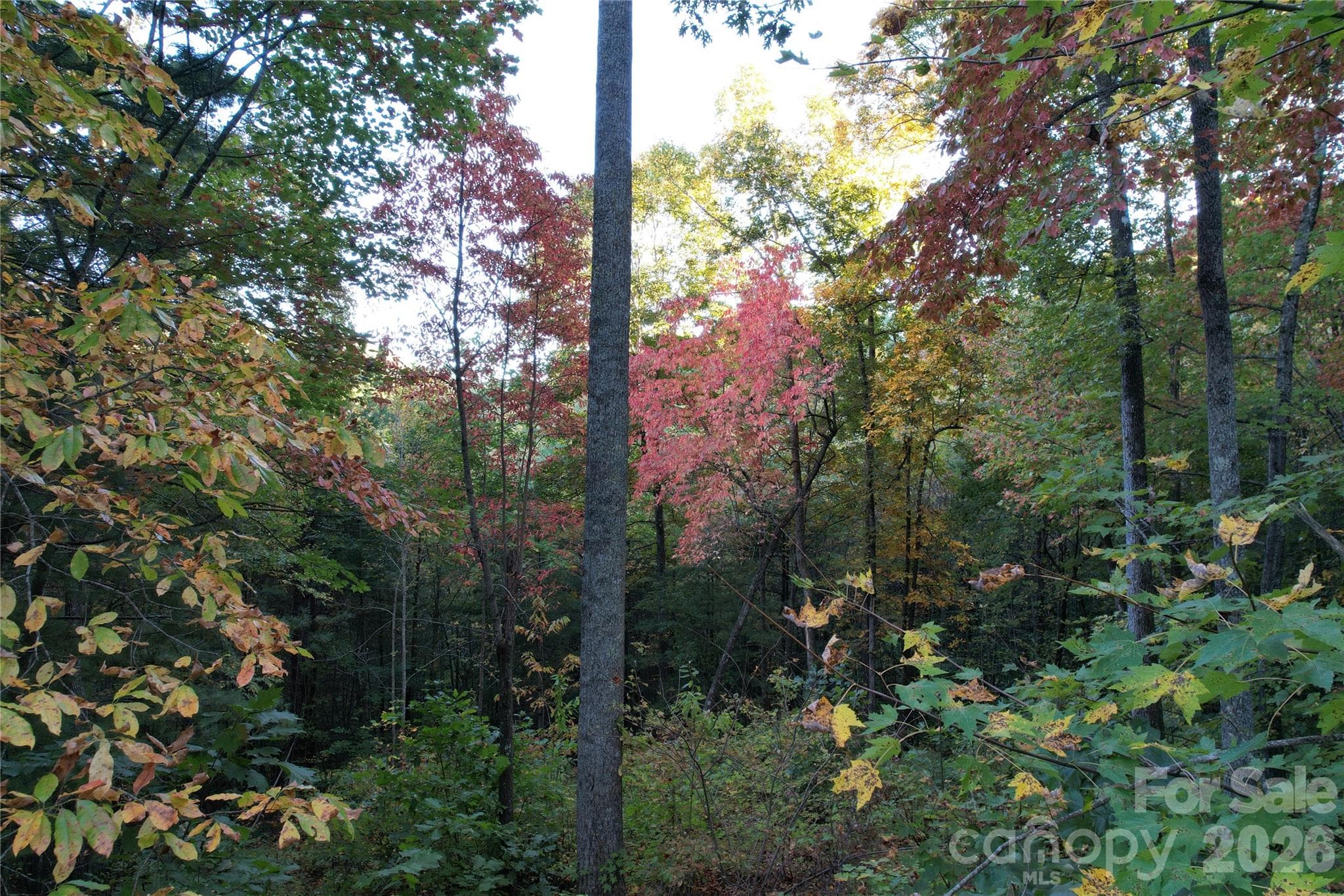 Acreage at 315 Silverglen Way, Hendersonville, photo 4 of 12