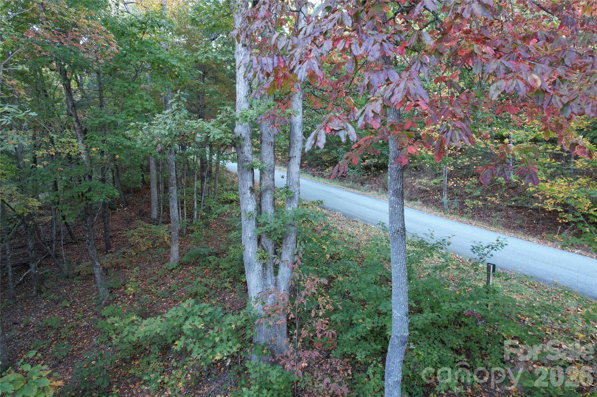 Acreage at 315 Silverglen Way, Hendersonville, photo 6 of 12