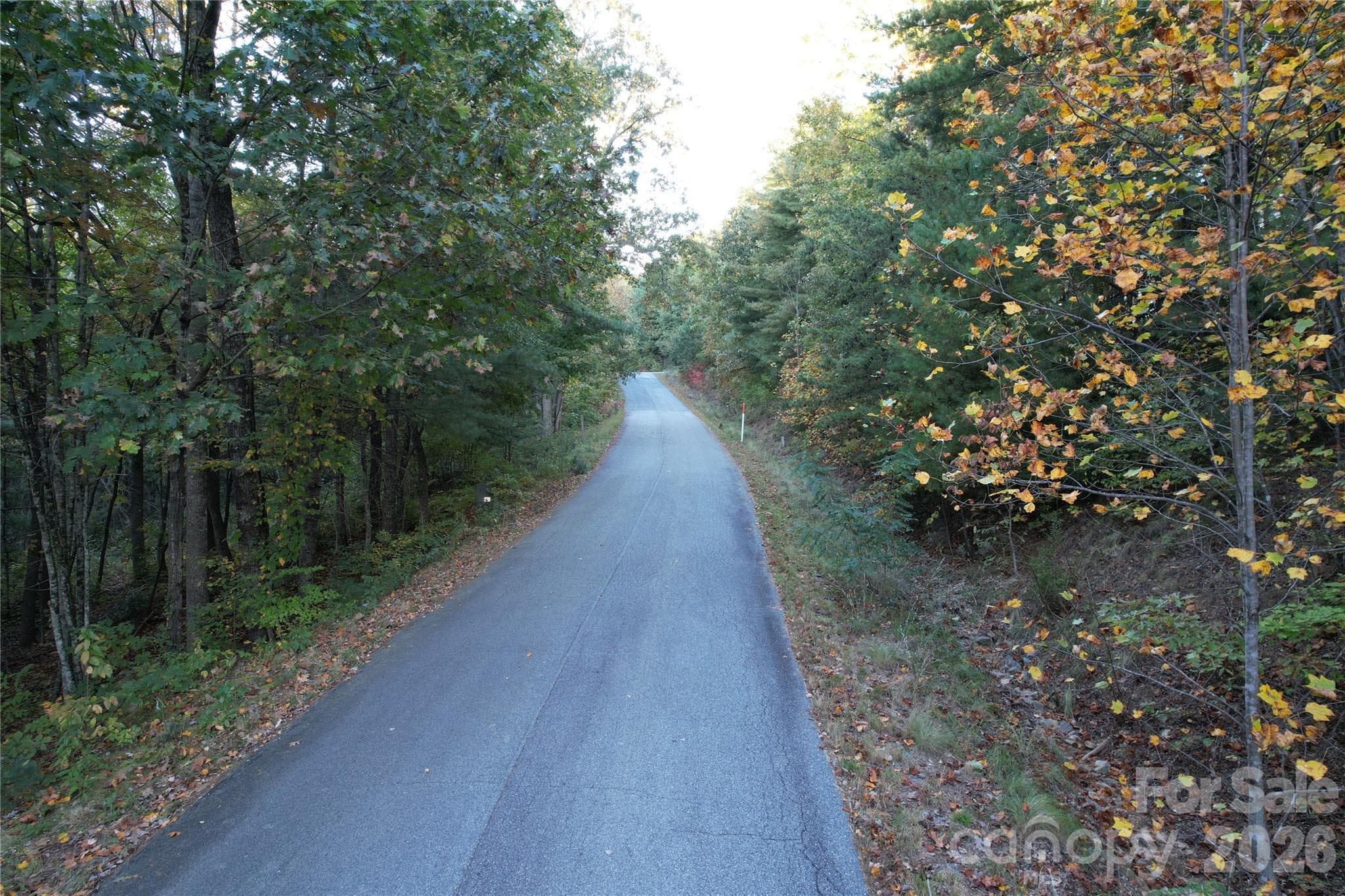 Acreage at 315 Silverglen Way, Hendersonville, photo 7 of 12