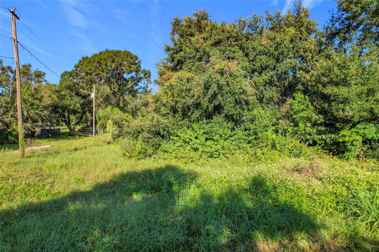 Land at 0 38TH ST NW, WINTER HAVEN, photo 13 of 26