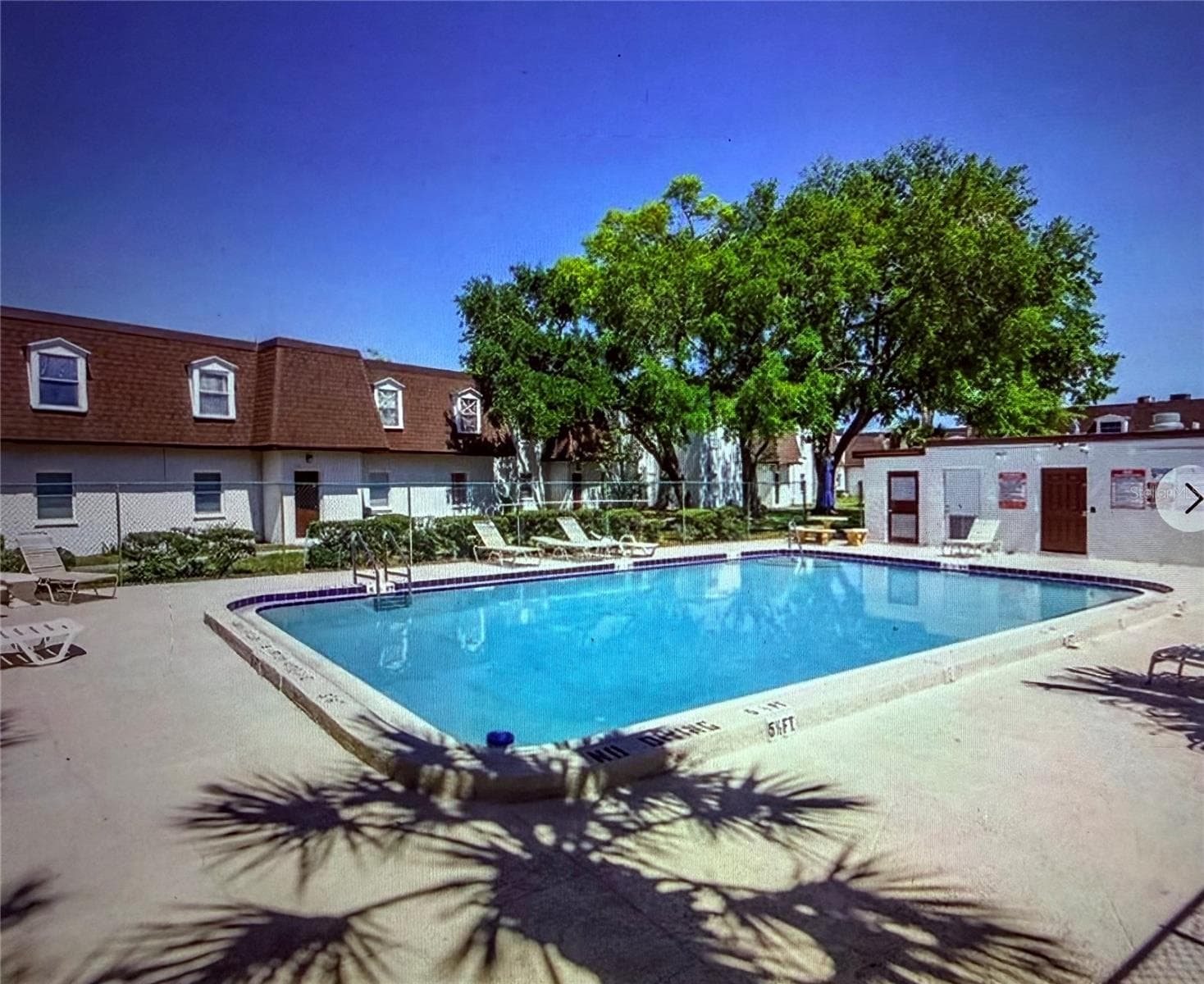 Pool - 9125 TUDOR DR #D109, TAMPA