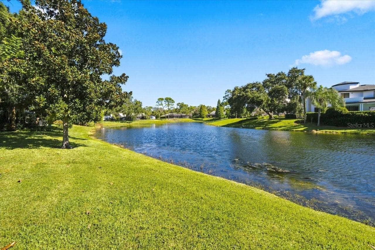 Single Family Residence at 4110 CARROLLWOOD VILLAGE DR, TAMPA, photo 4 of 54
