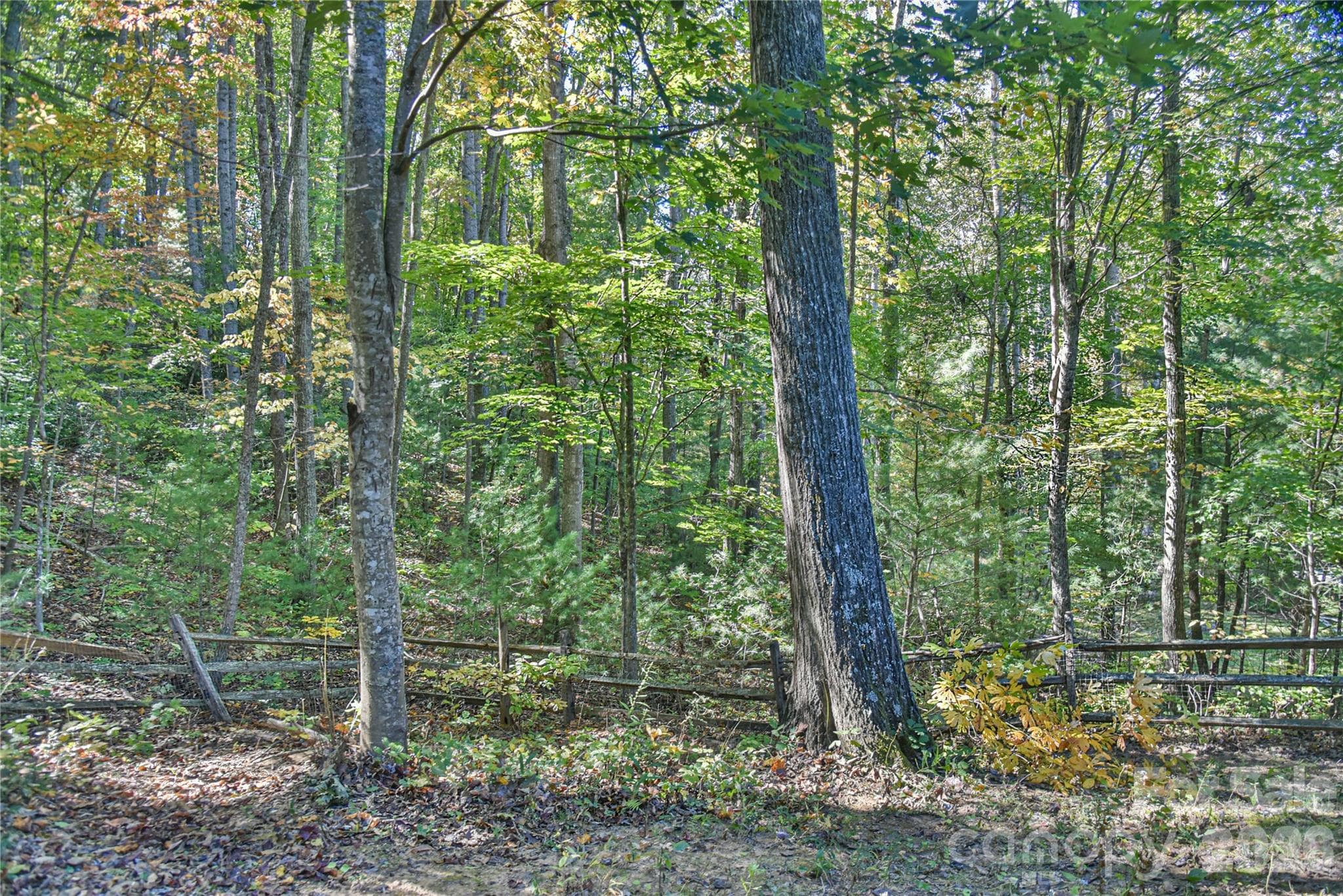Nature abounds. - 39 Oak Hollow Drive, Asheville