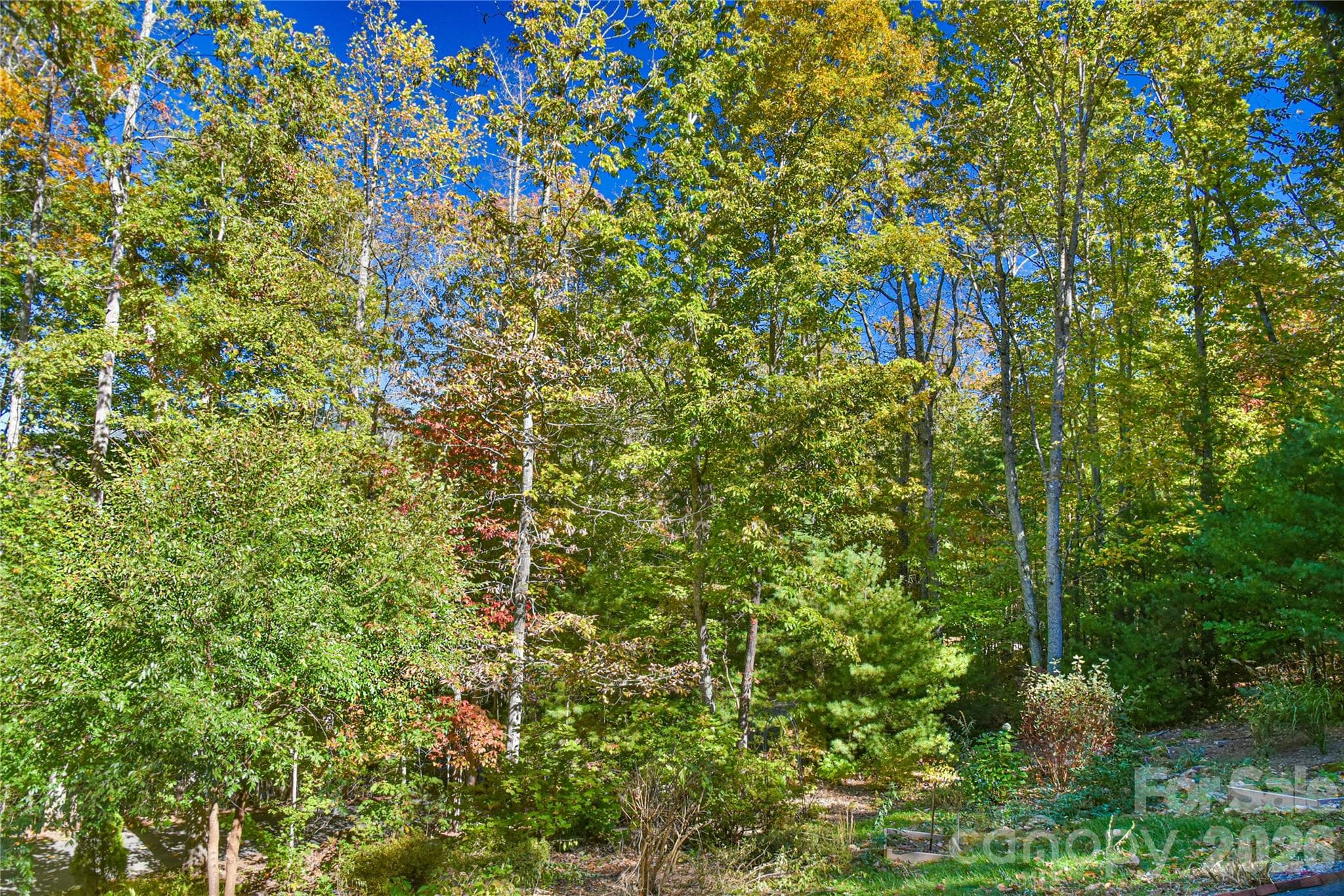 It's more than a yard. - 39 Oak Hollow Drive, Asheville