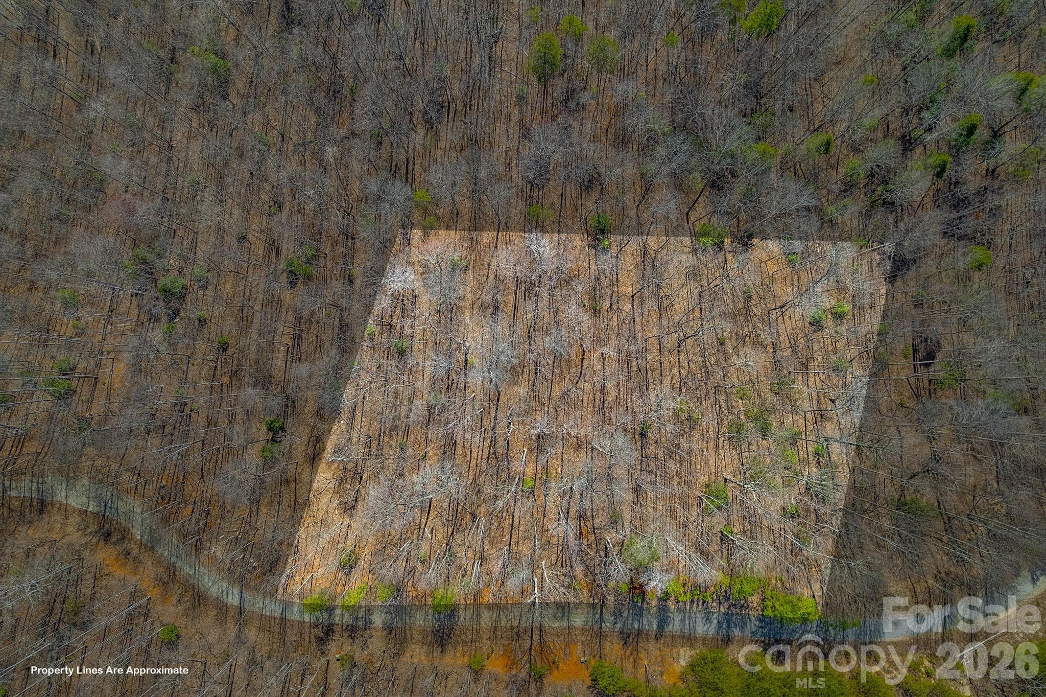 Lot at 00 Champagne Ridge, Lake Lure, photo 2 of 15