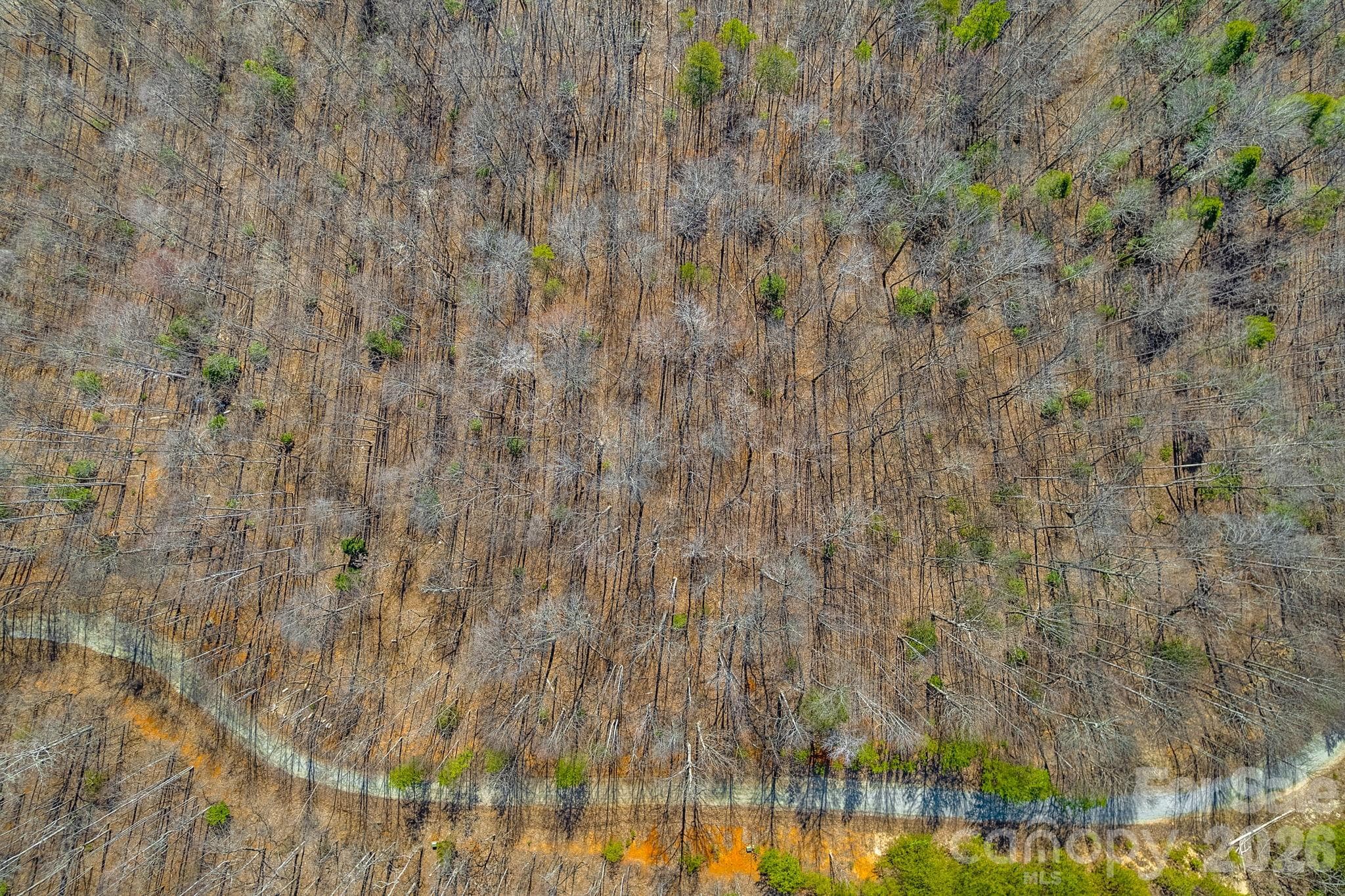 Lot at 00 Champagne Ridge, Lake Lure, photo 3 of 15