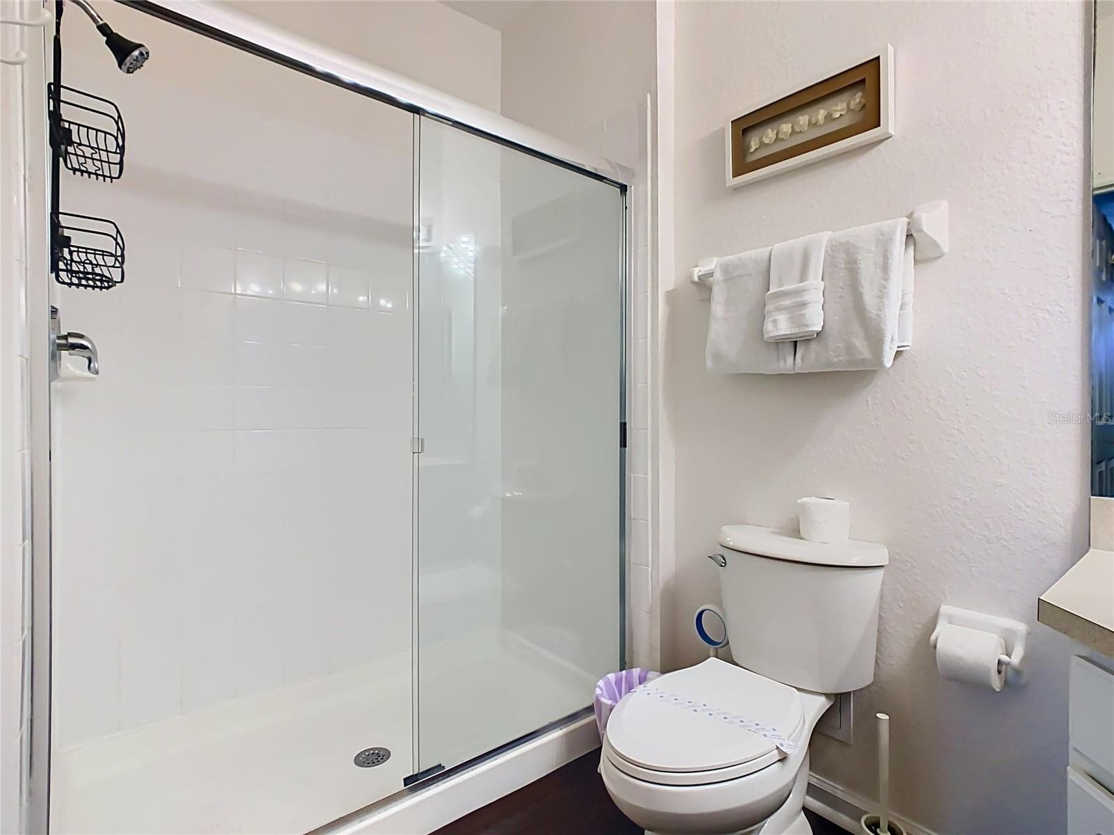 Condominium at 2788 ALMATON LOOP #102, KISSIMMEE, photo 30 of 48