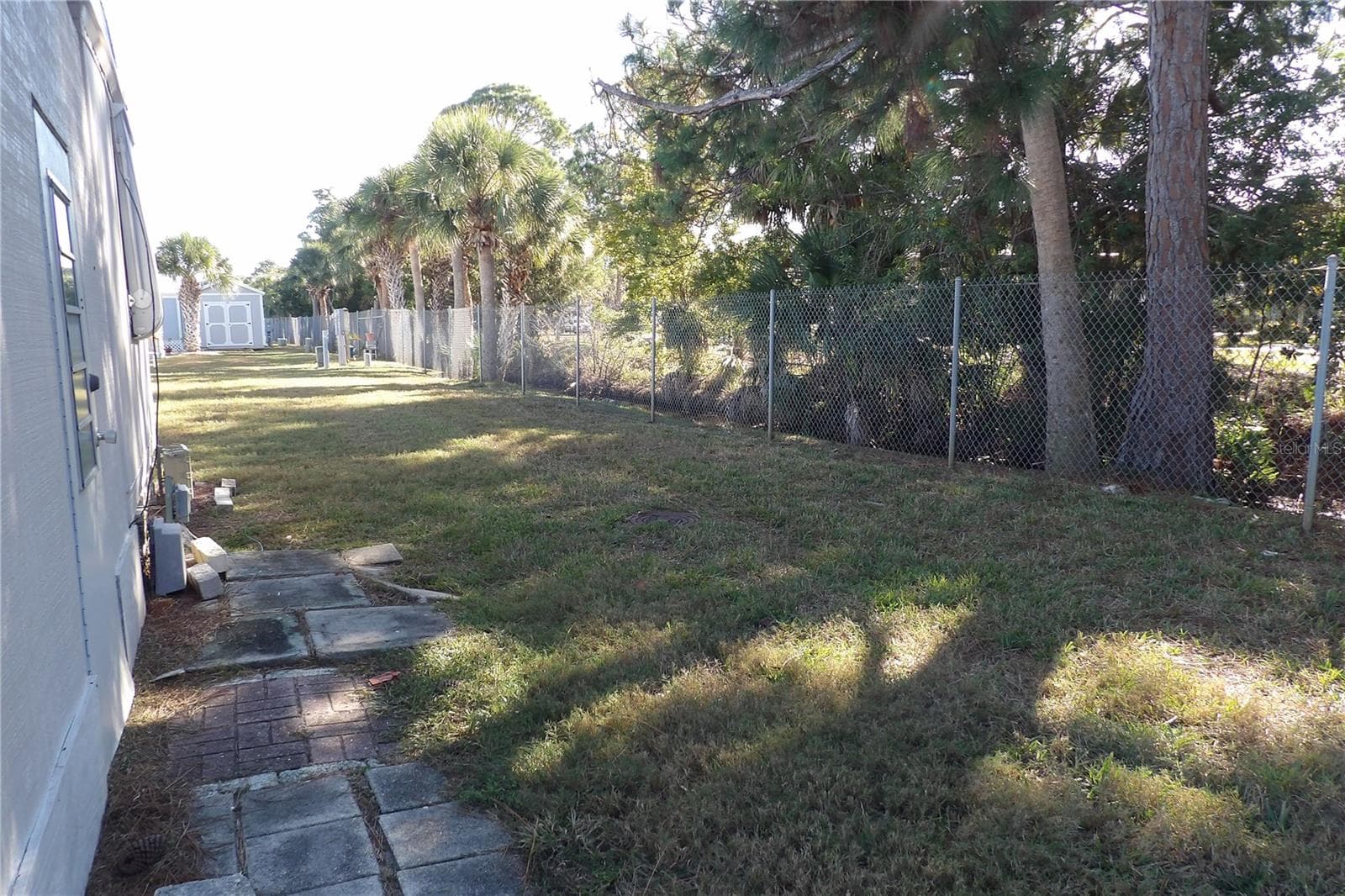 Back yard - 6608 ROOSEVELT DR, PORT RICHEY