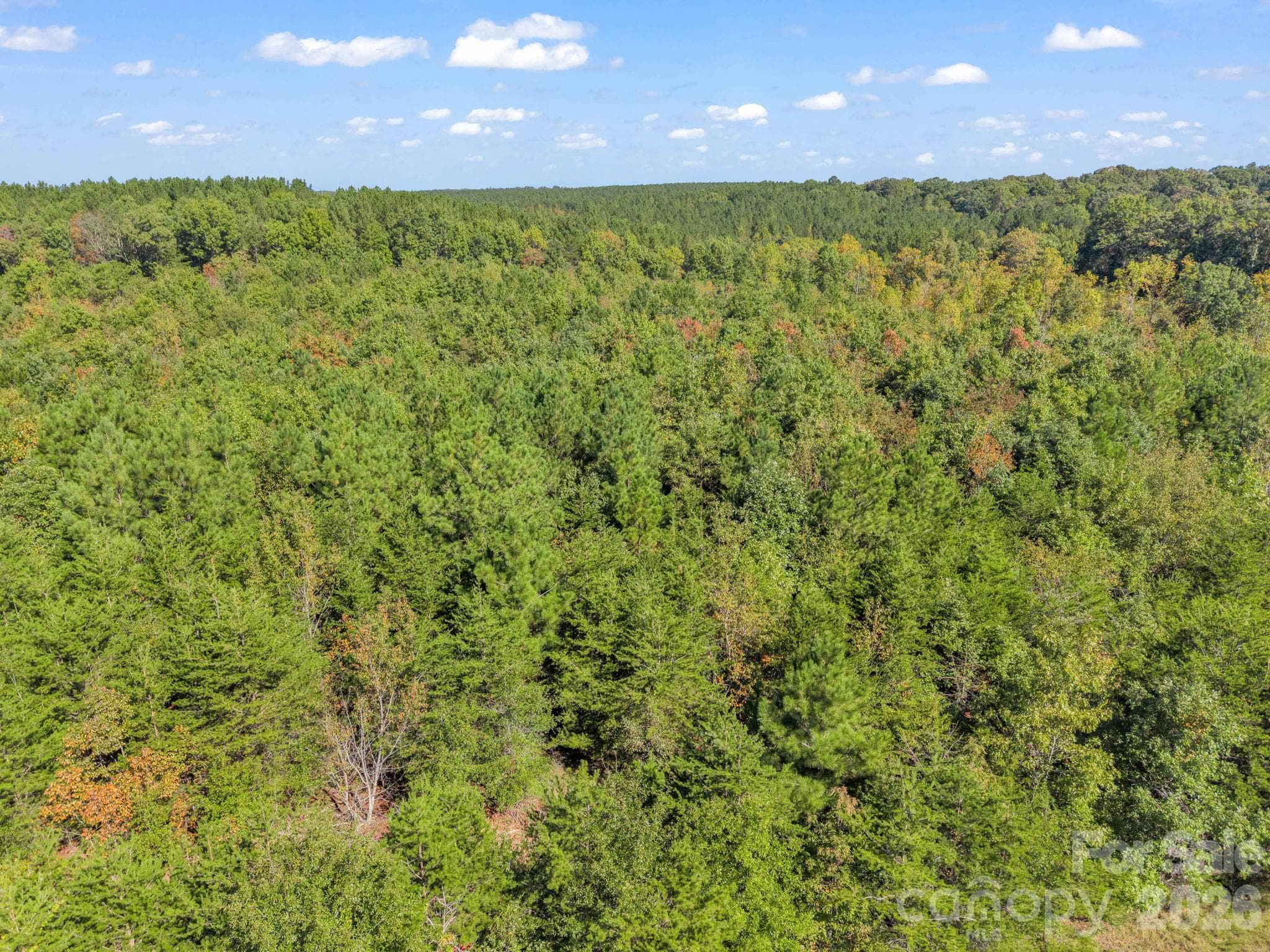 Acreage at 0 Chase high Road, Forest City, photo 2 of 14