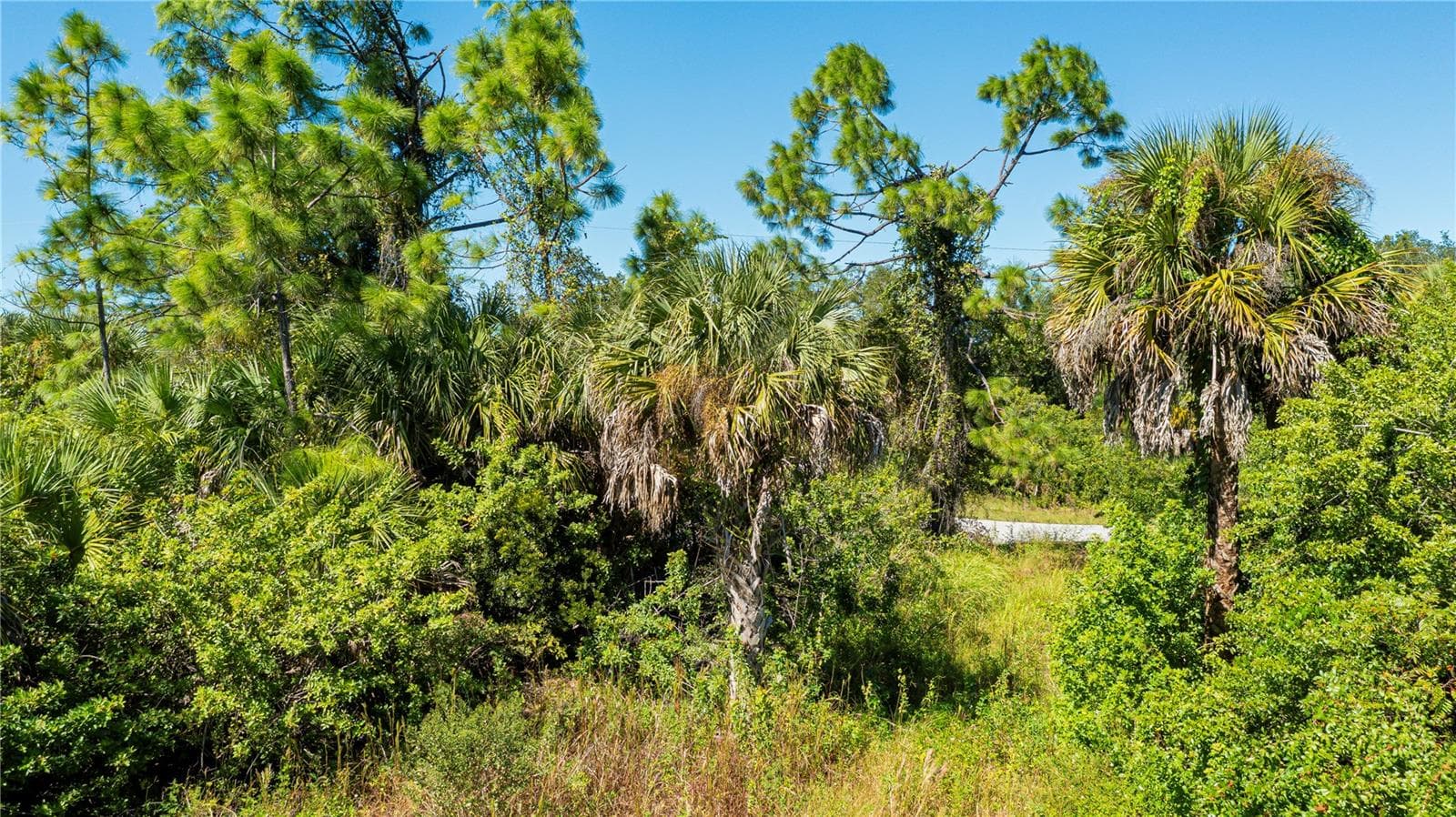 Land at 1444 EPPINGER DR, PORT CHARLOTTE, photo 17 of 19