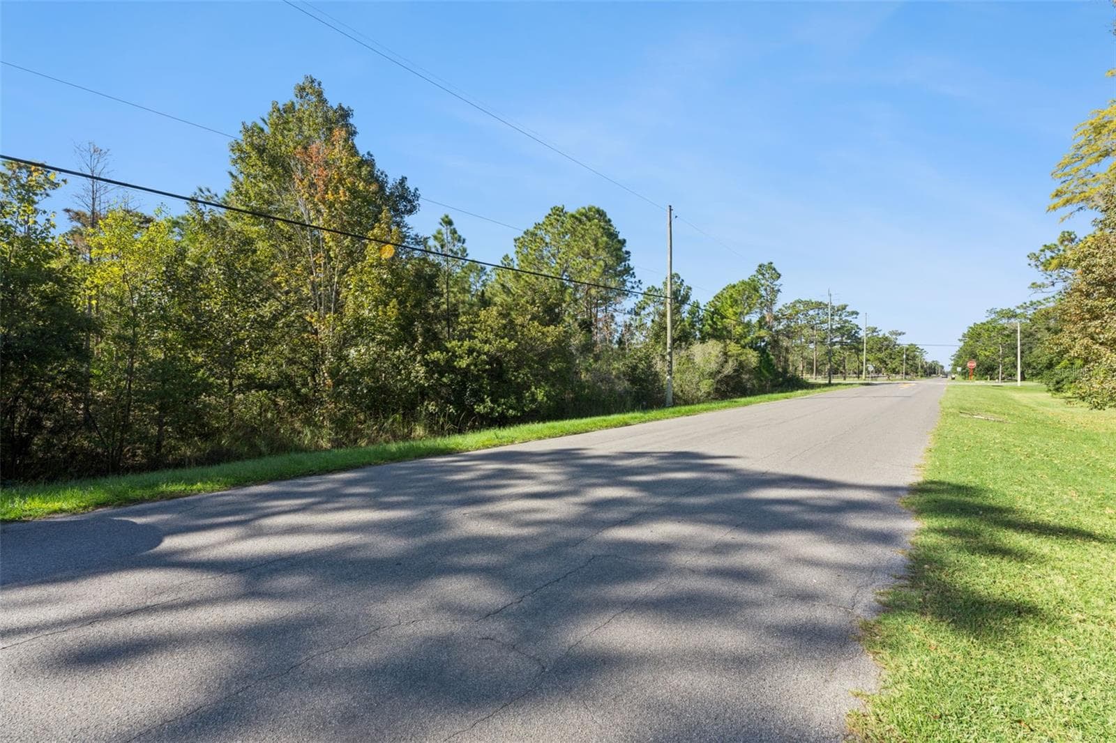 Land at QUINELLA ST, ORLANDO, photo 3 of 23