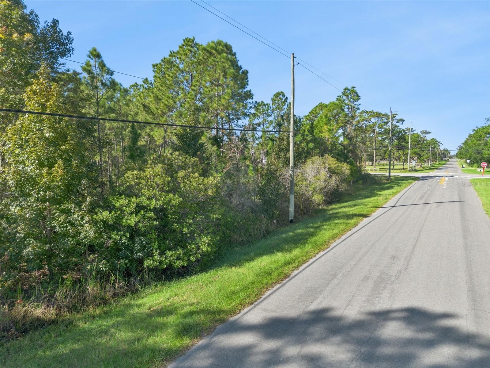 Land at QUINELLA ST, ORLANDO, photo 4 of 23