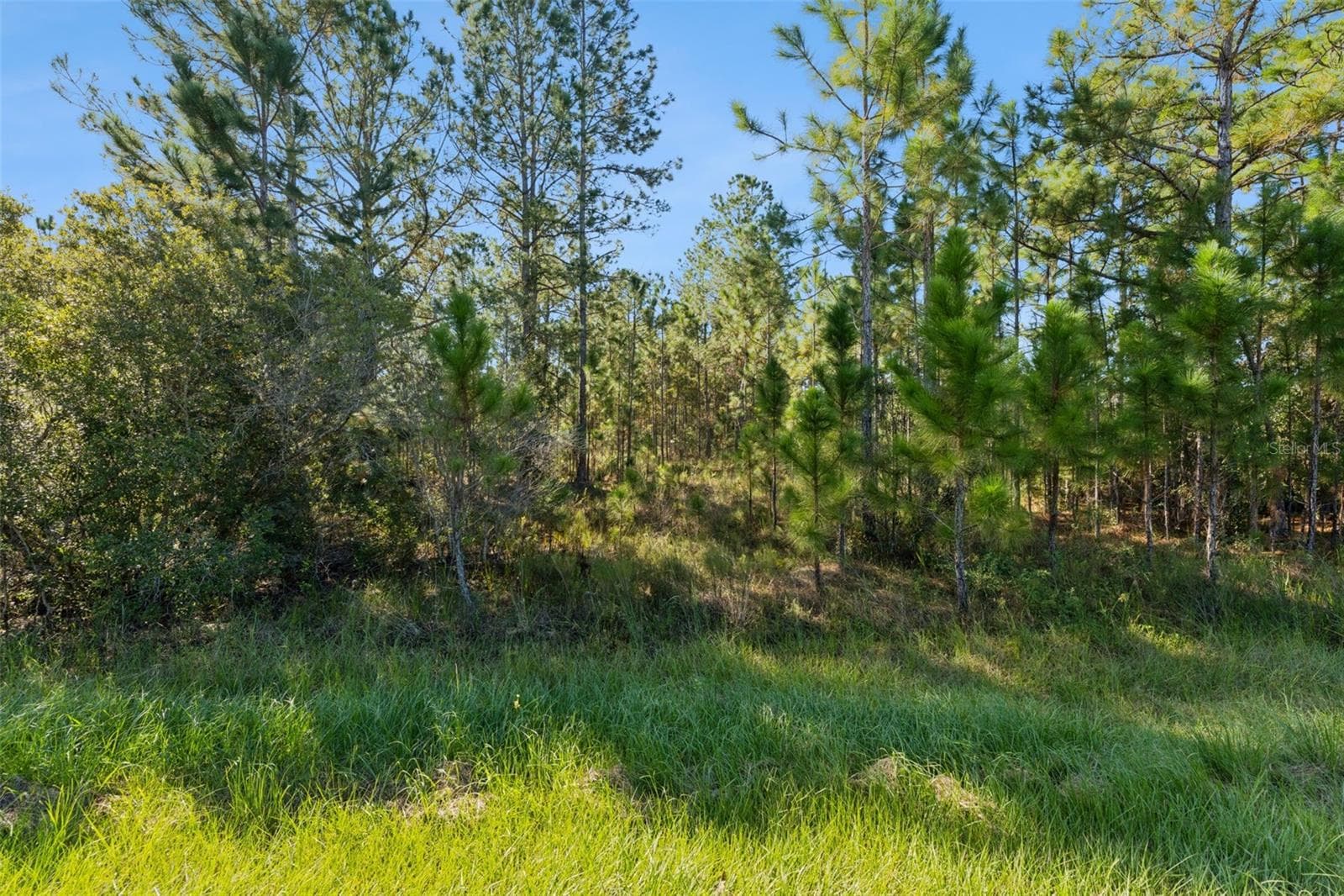 Land at QUINELLA ST, ORLANDO, photo 7 of 23
