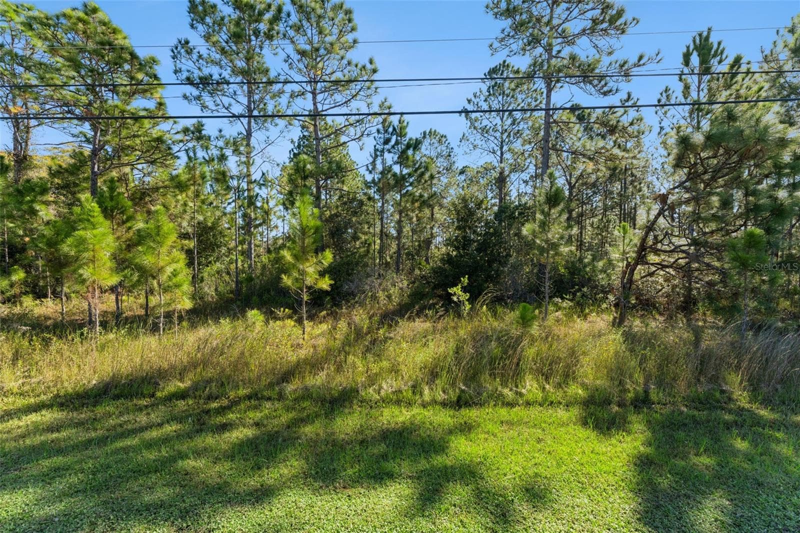 Land at QUINELLA ST, ORLANDO, photo 8 of 23