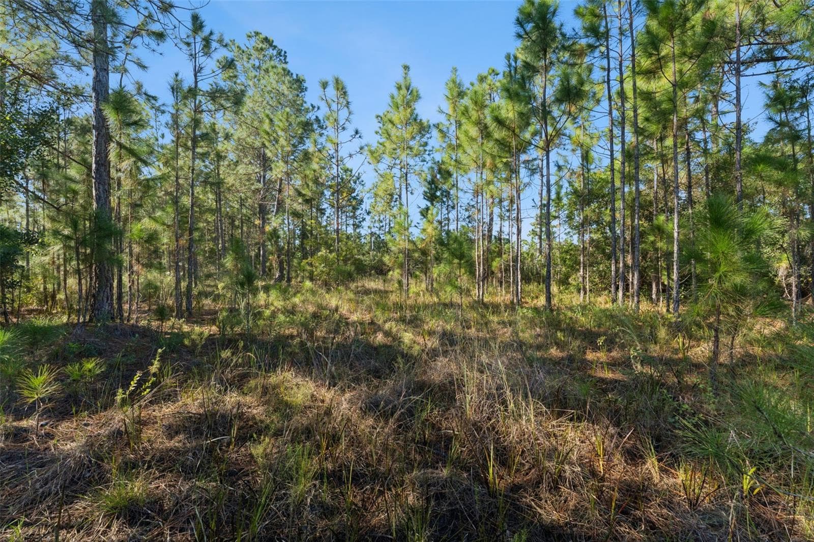 Land at QUINELLA ST, ORLANDO, photo 9 of 23