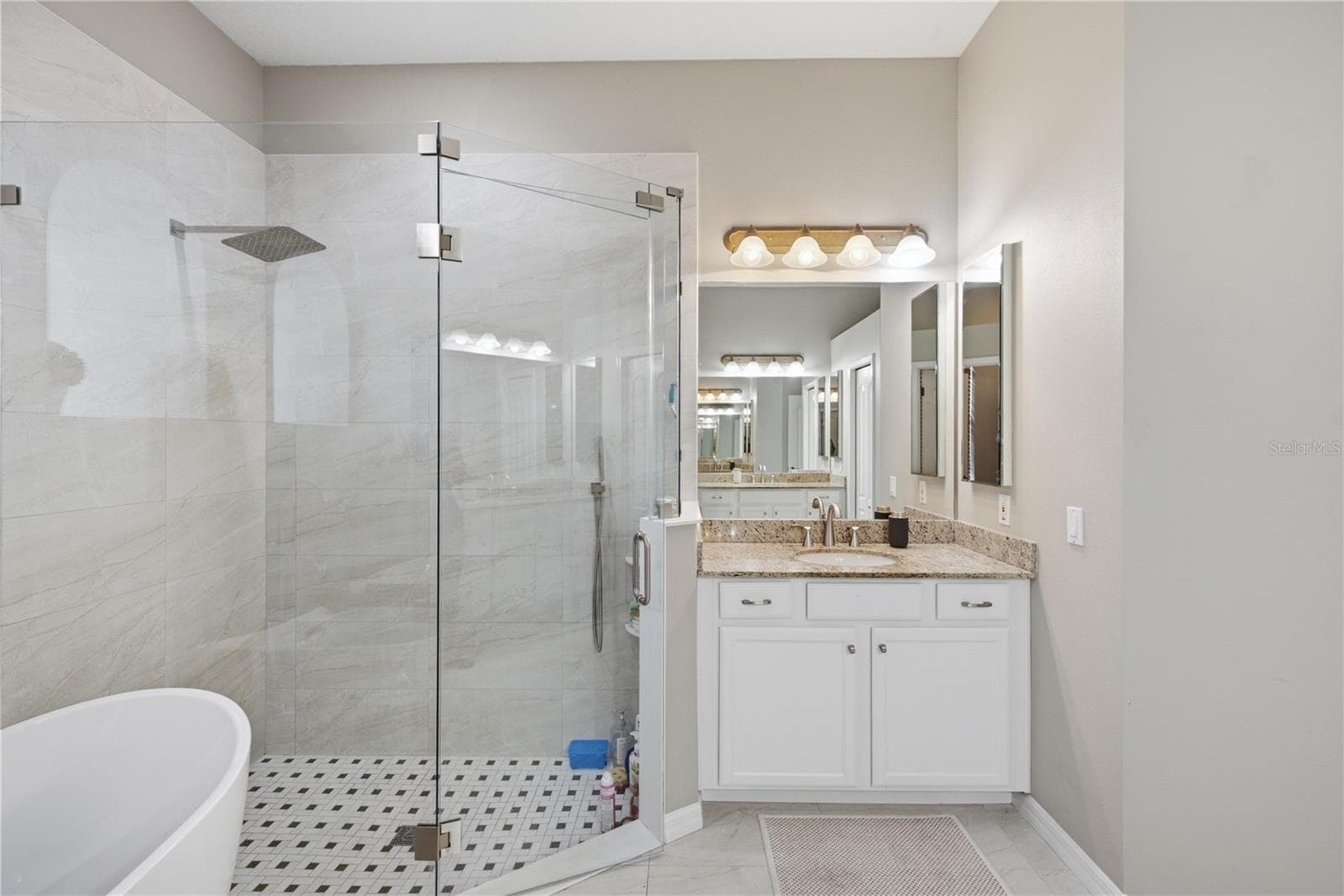 Walk In Shower - 3905 SORREL VINE DR, WESLEY CHAPEL