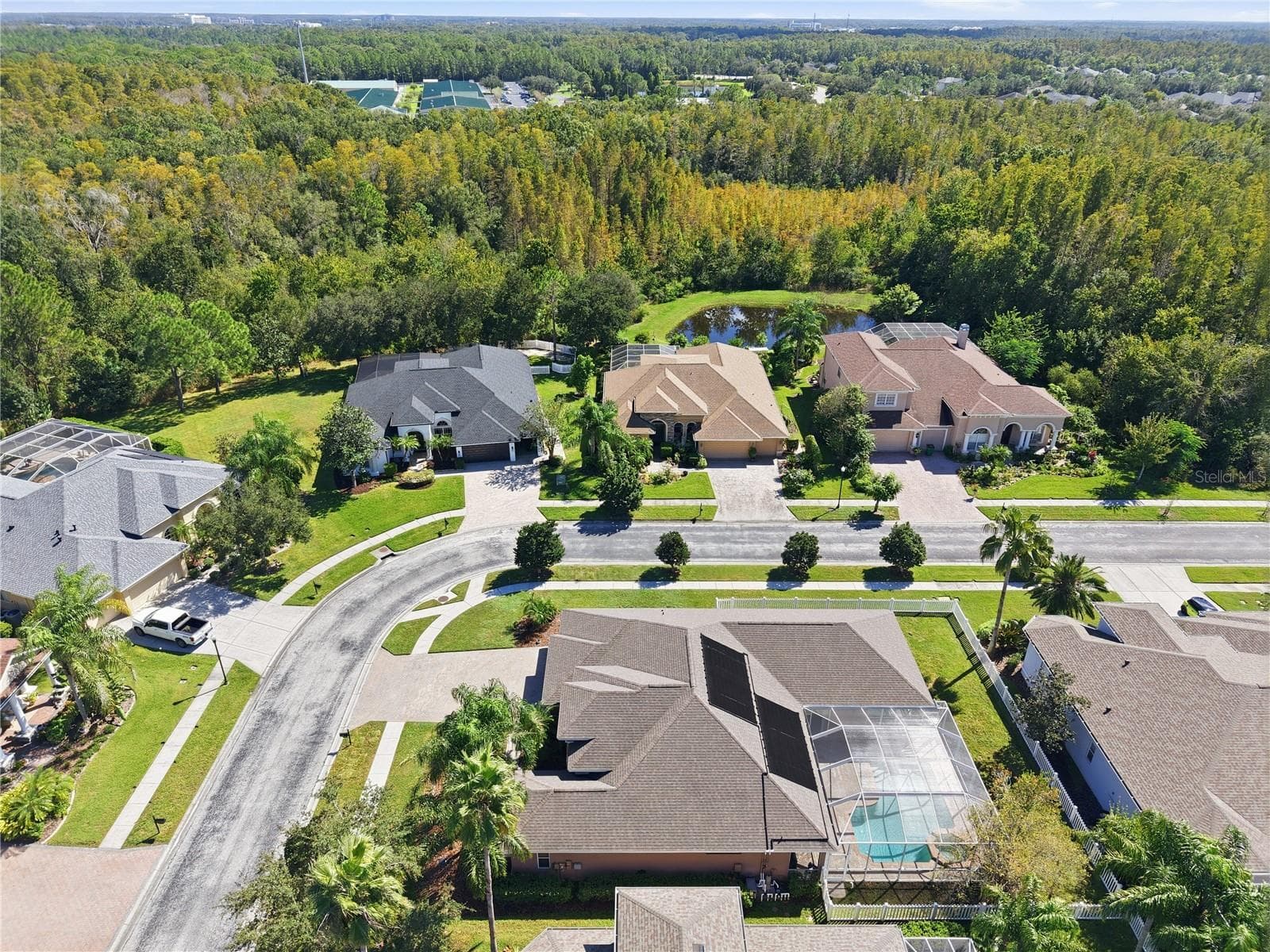 Single Family Residence at 3905 SORREL VINE DR, WESLEY CHAPEL, photo 45 of 62
