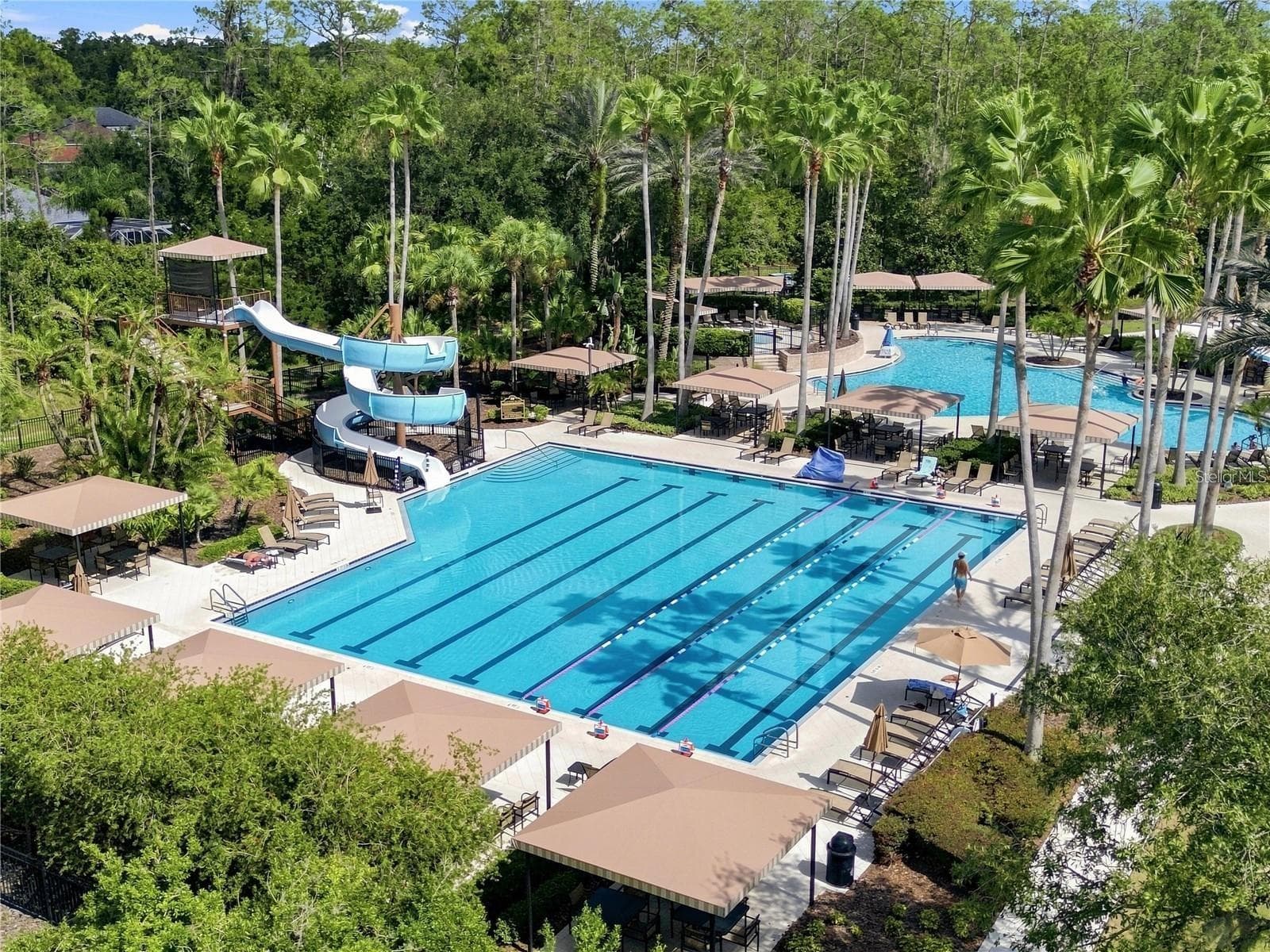 Olympic sized Pool and SLIDE! - 3905 SORREL VINE DR, WESLEY CHAPEL