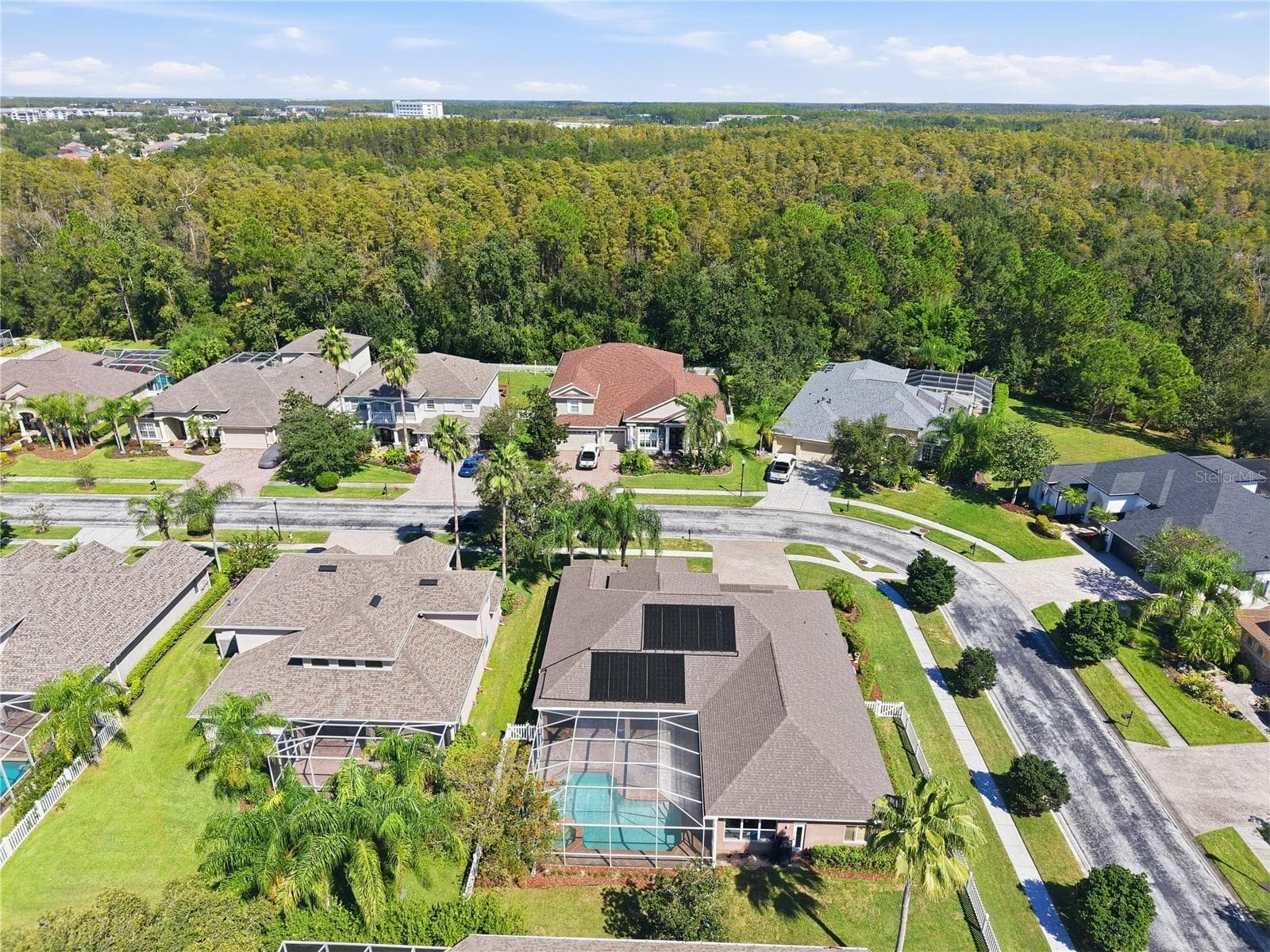 Corner Lot! - 3905 SORREL VINE DR, WESLEY CHAPEL