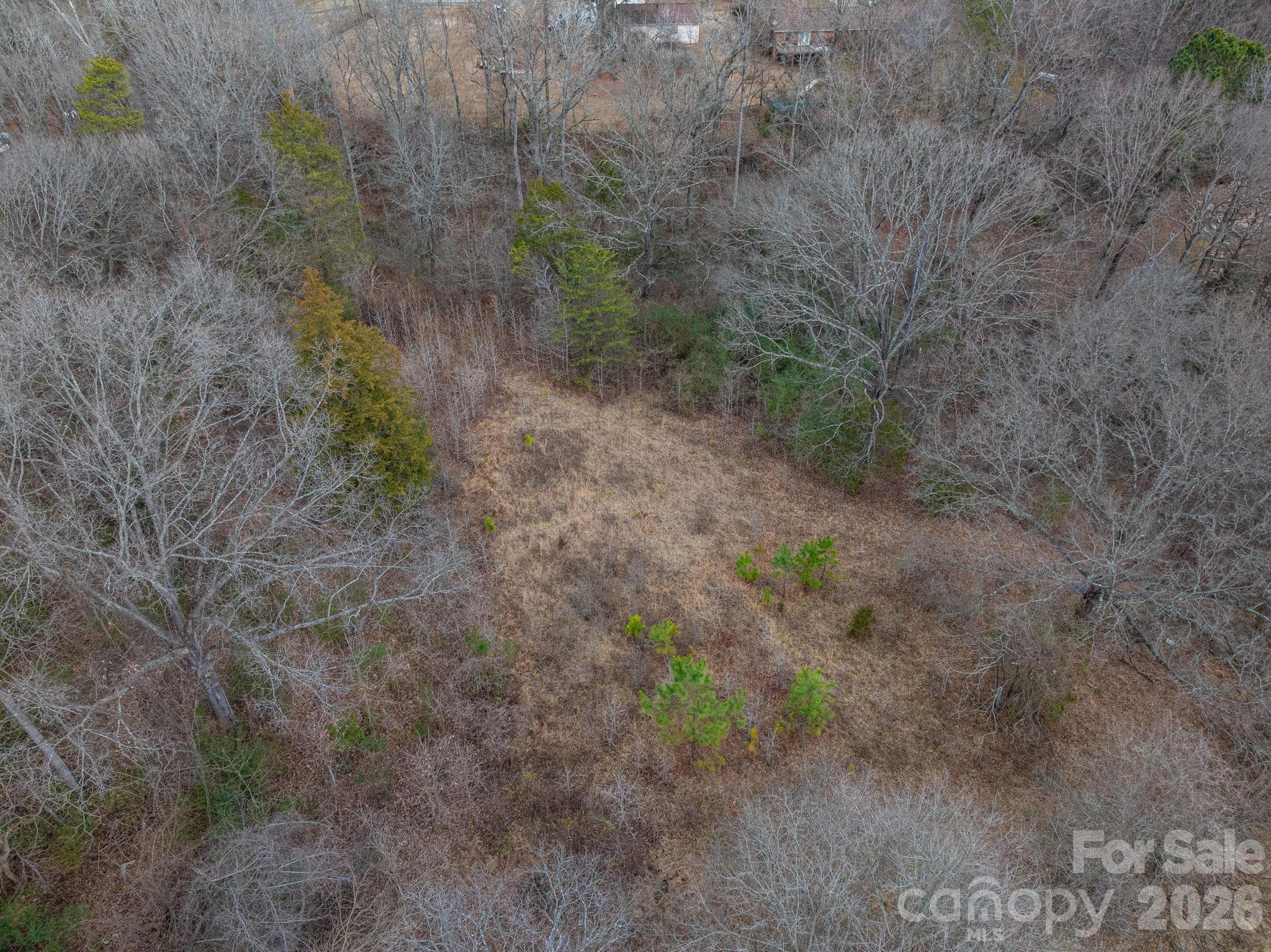 Lot at 000 Peach Street, Mount Holly, photo 8 of 35